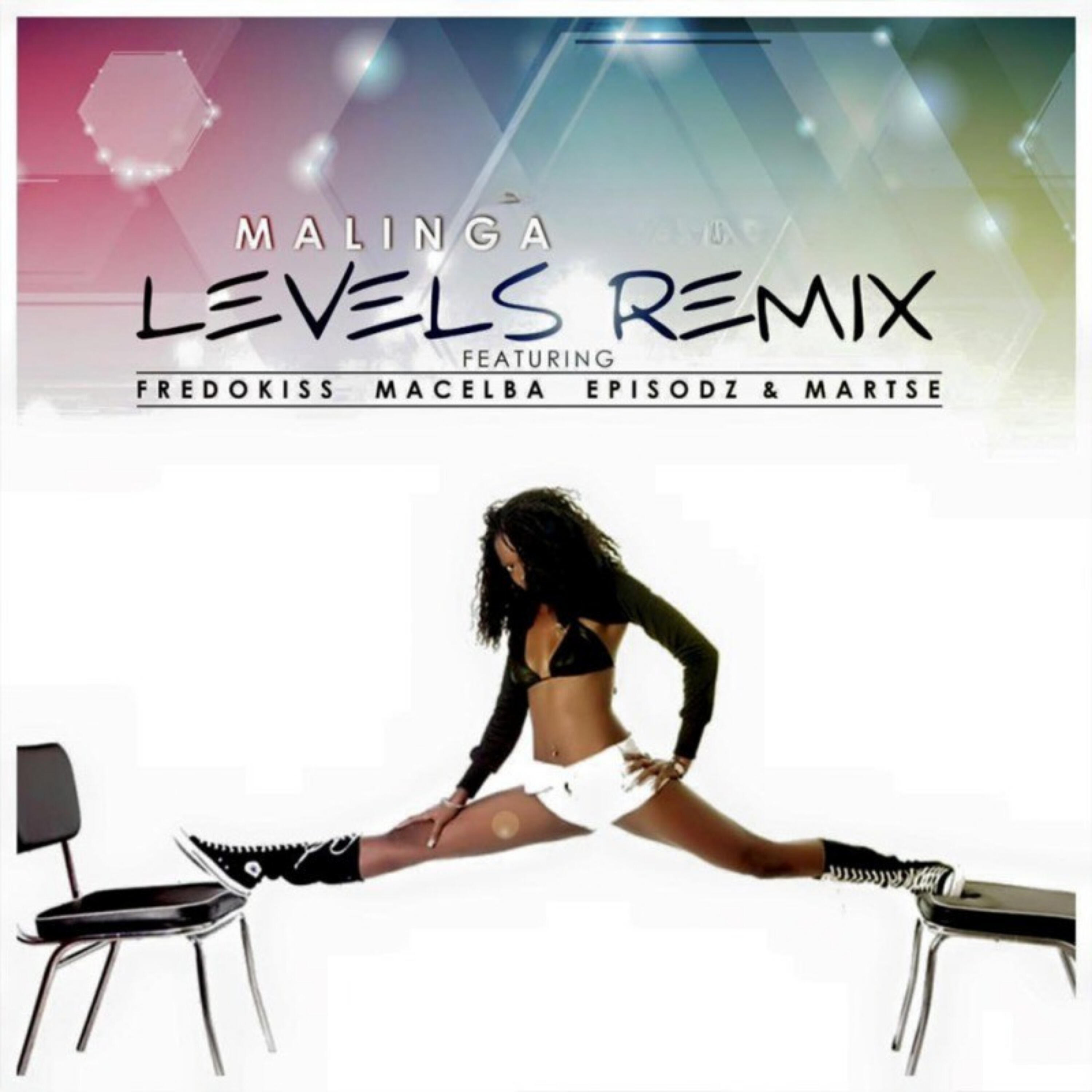 Релиз Levels (Remix)
