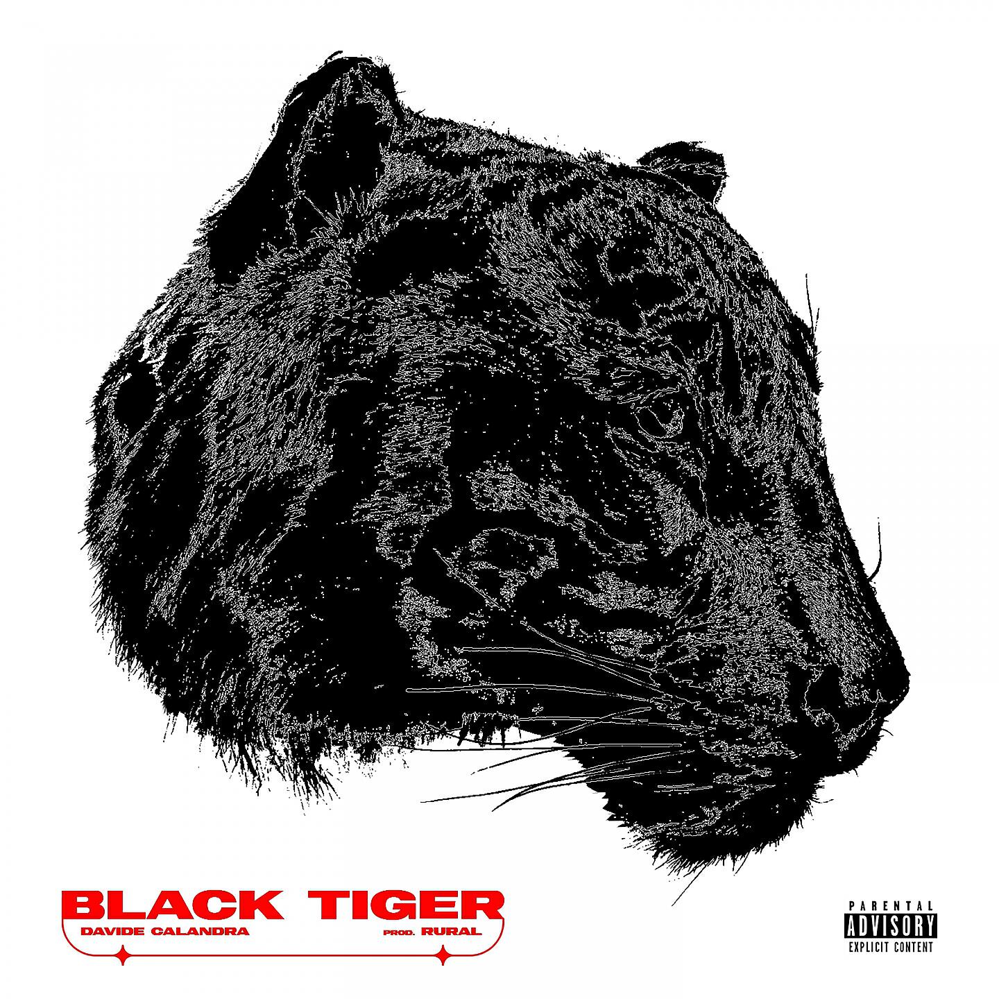 Релиз Black Tiger