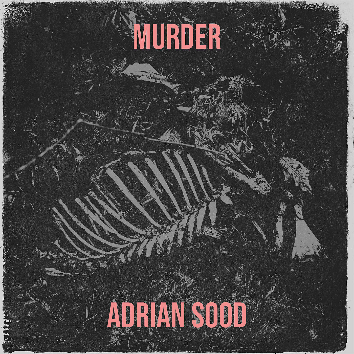 Релиз Murder