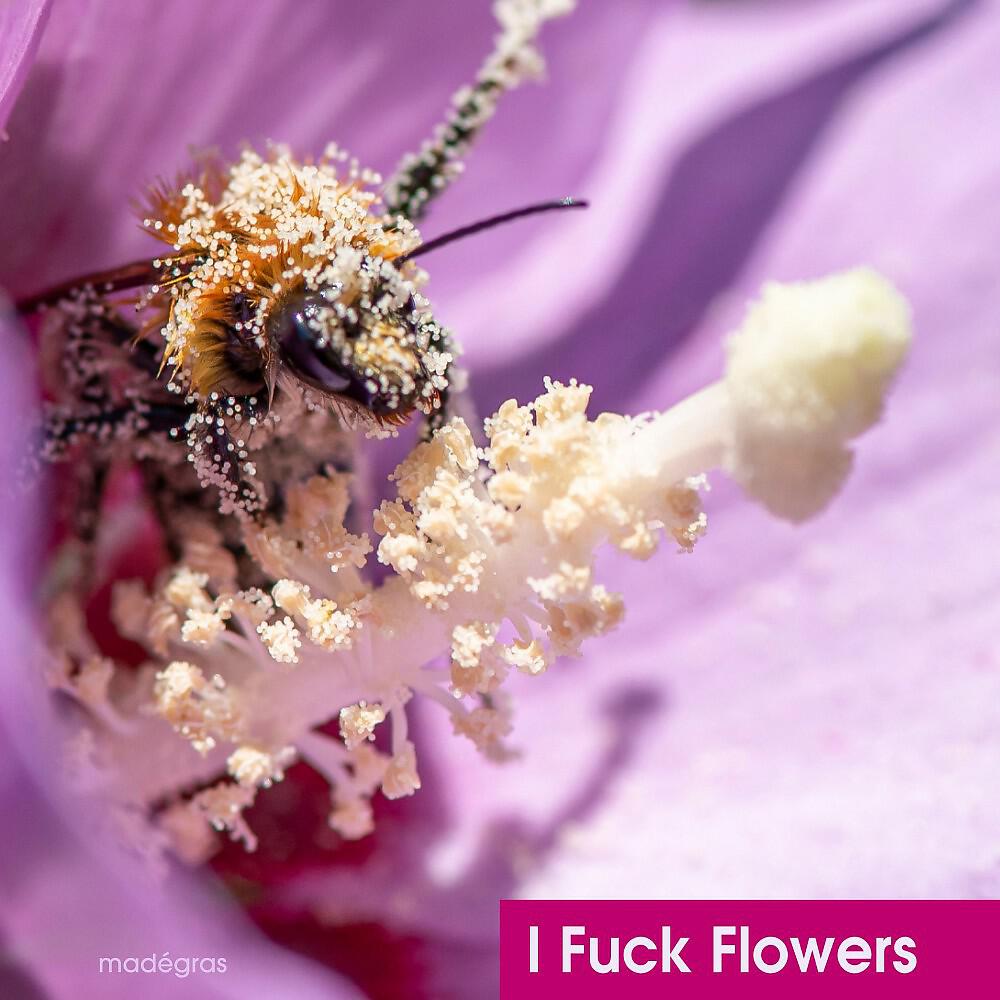 Релиз I Fuck Flowers