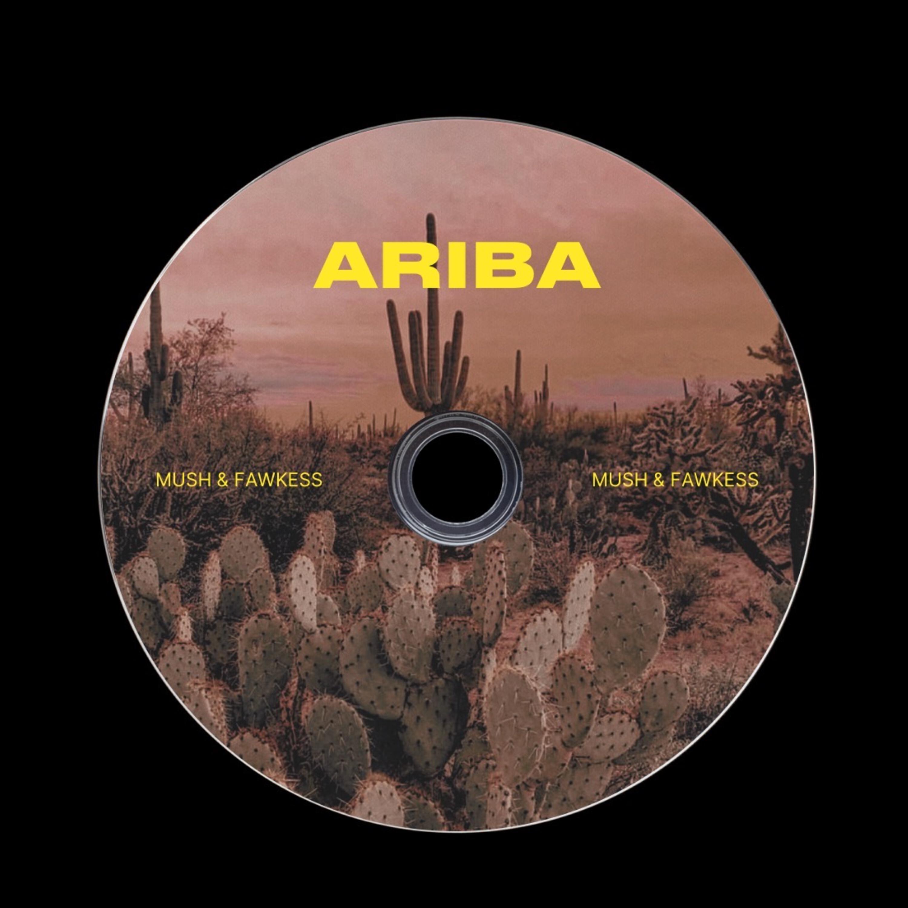 Релиз Ariba