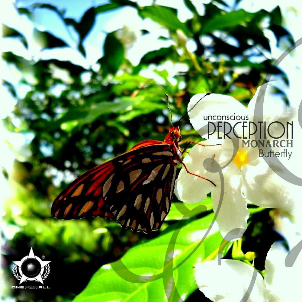 Релиз Monarch Butterfly EP