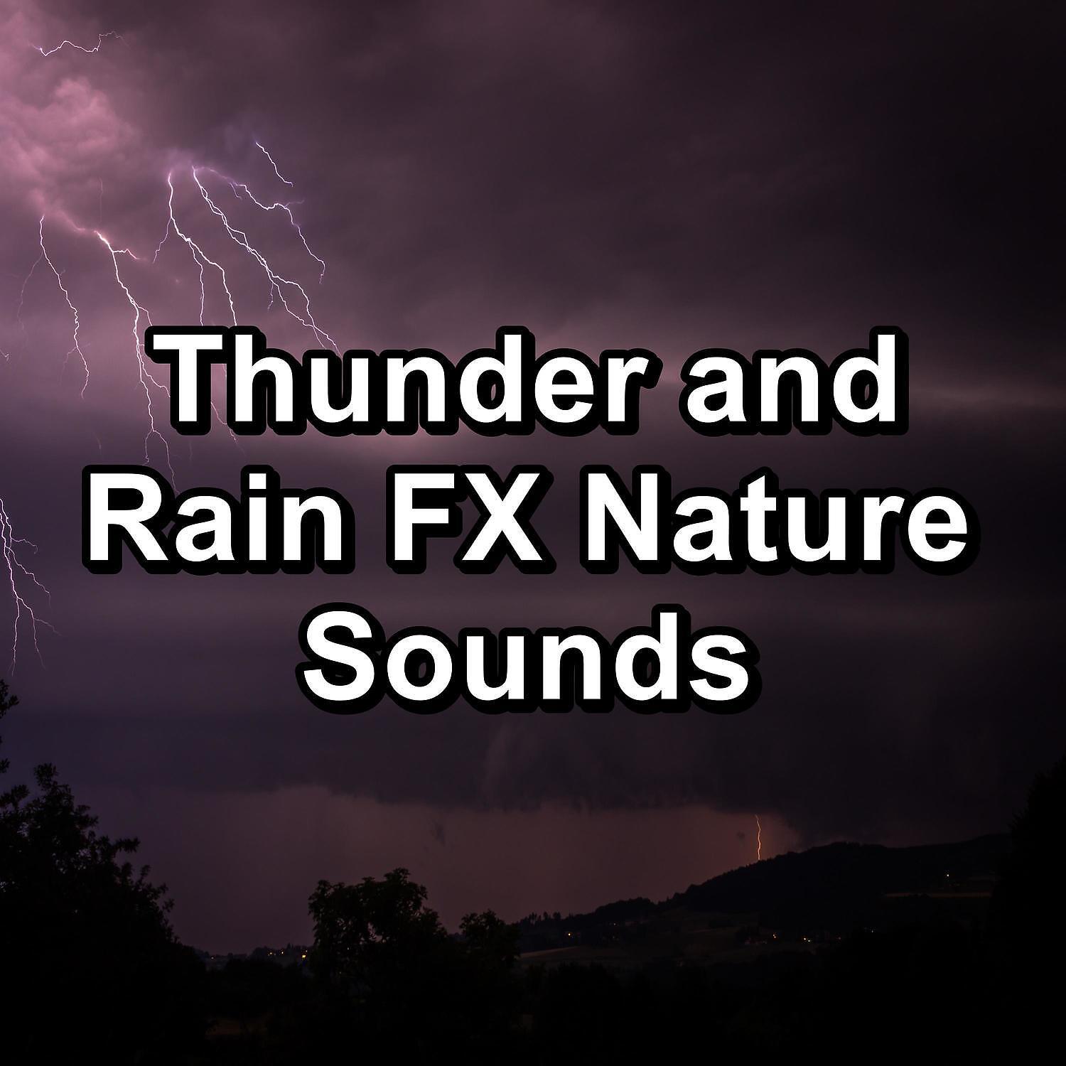 Релиз Thunder and Rain FX Nature Sounds