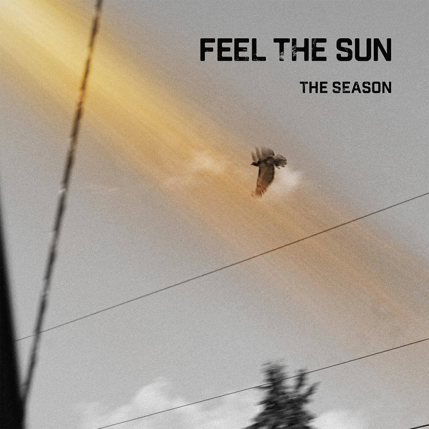 Релиз Feel the Sun