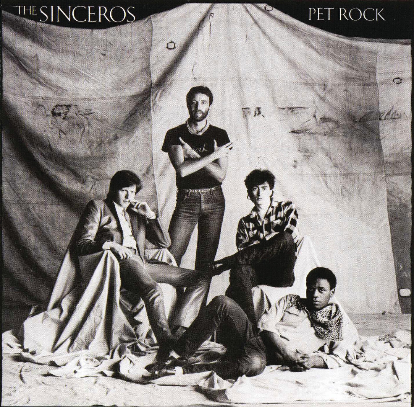 Релиз Pet Rock