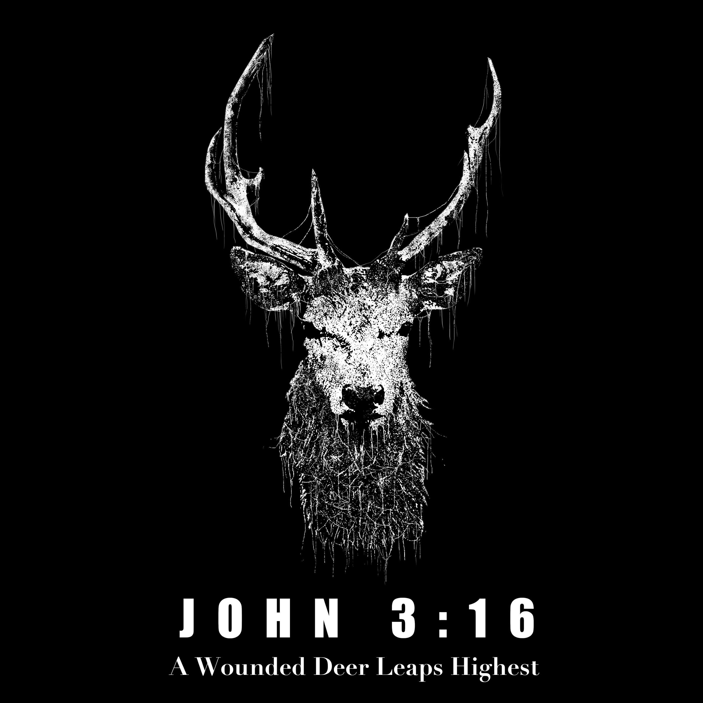 Релиз A Wounded Deer Leaps Highest