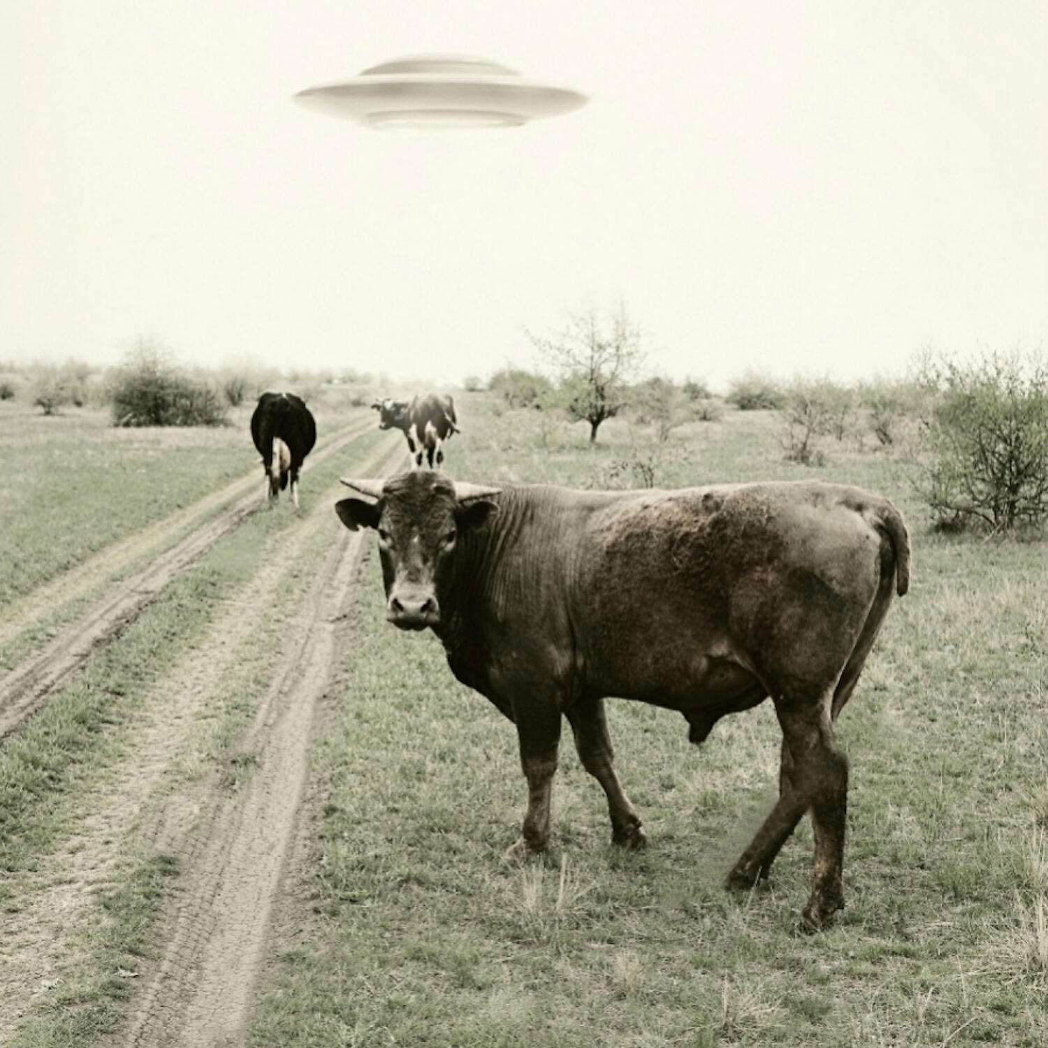 Релиз Greetings From Nowhere