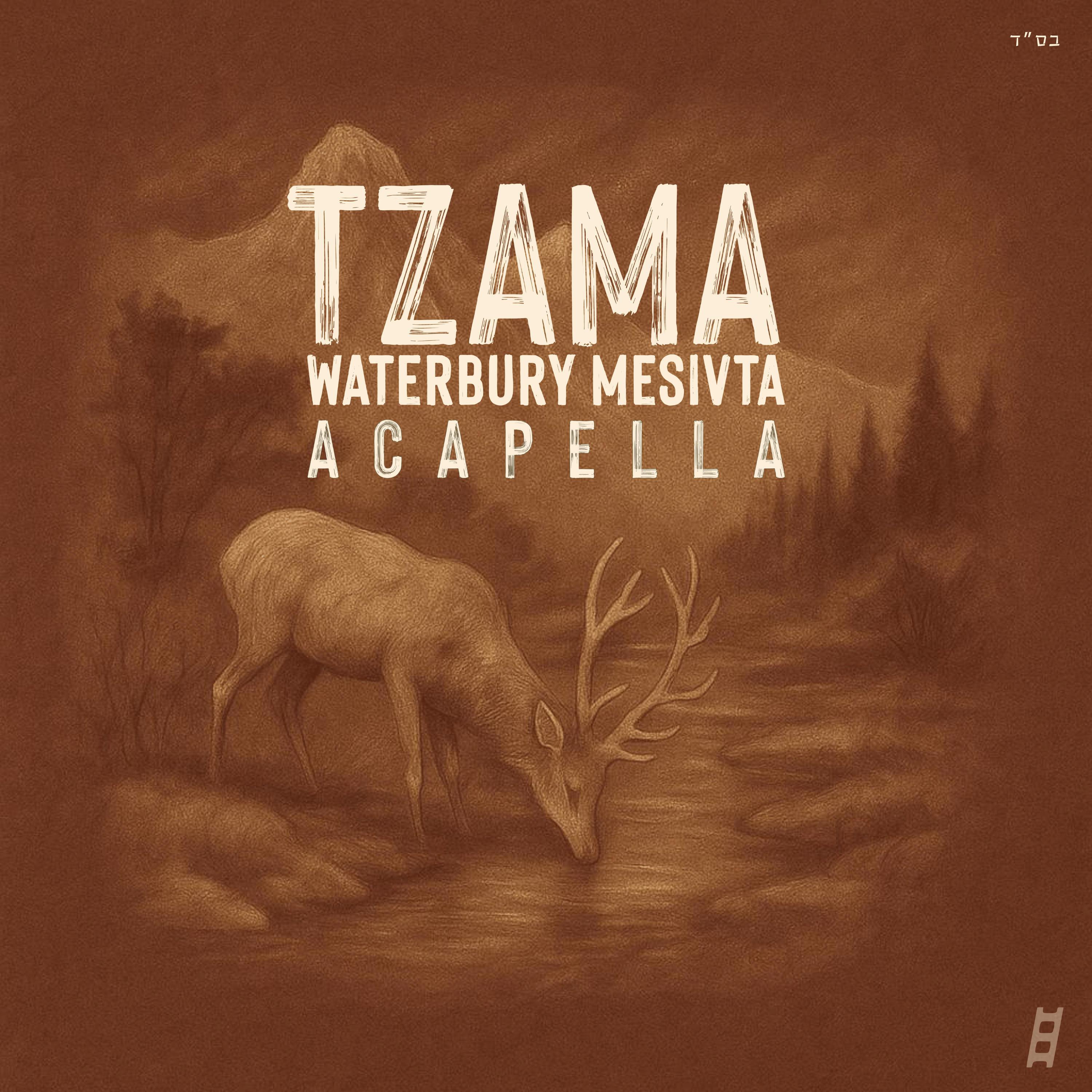 Релиз Tzama (Acapella)