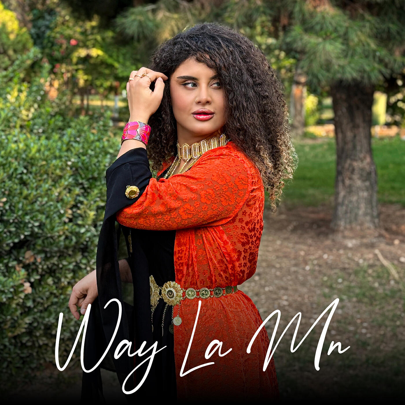 Постер альбома Way La Mn