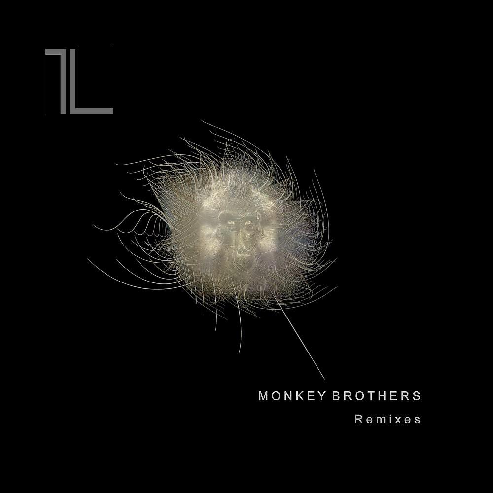 Релиз Monkey Brothers (Remixes)