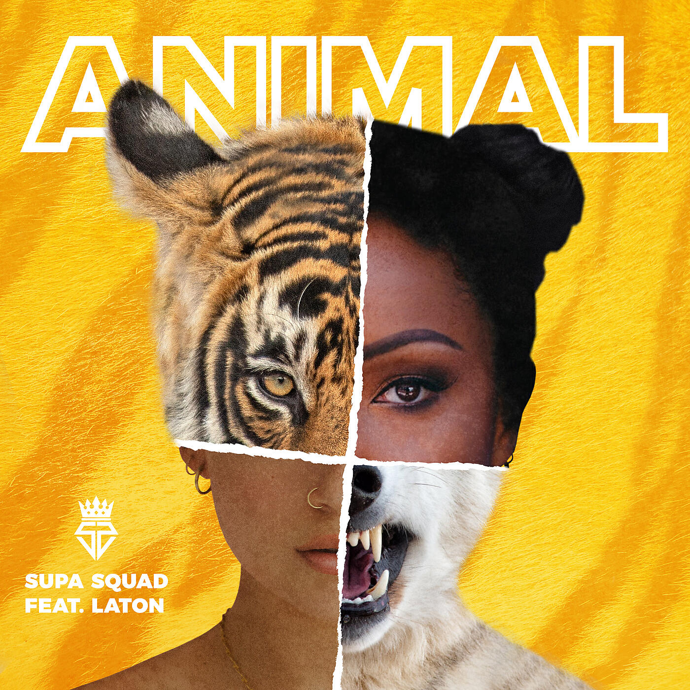 Релиз Animal