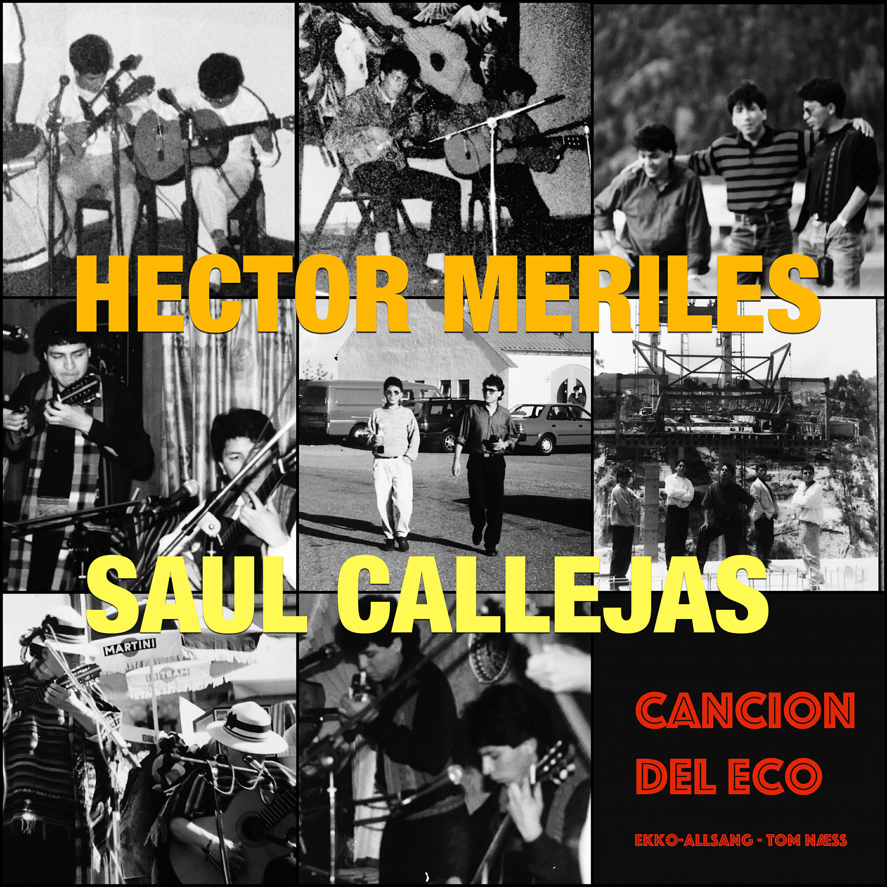 Hector Meriles