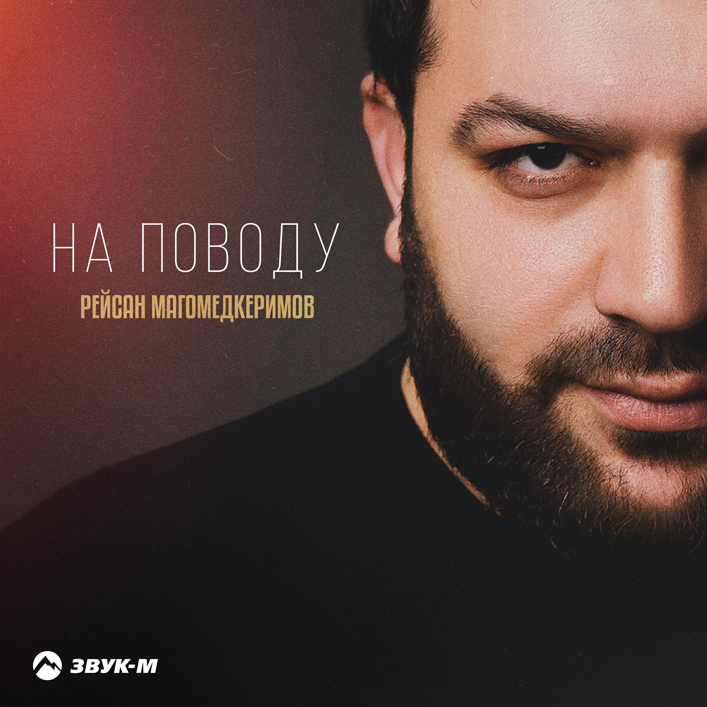 Релиз На поводу