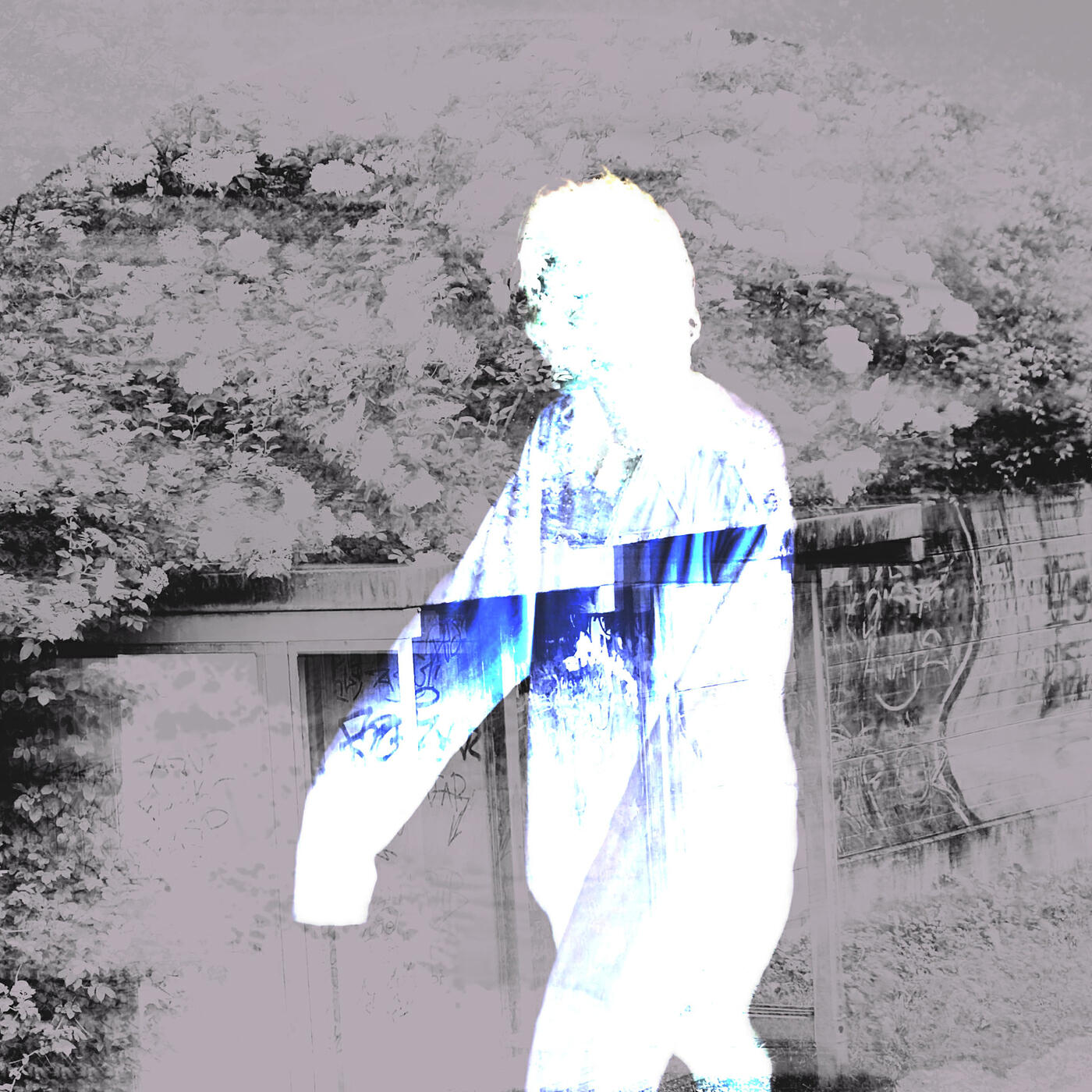 Релиз Self Observations