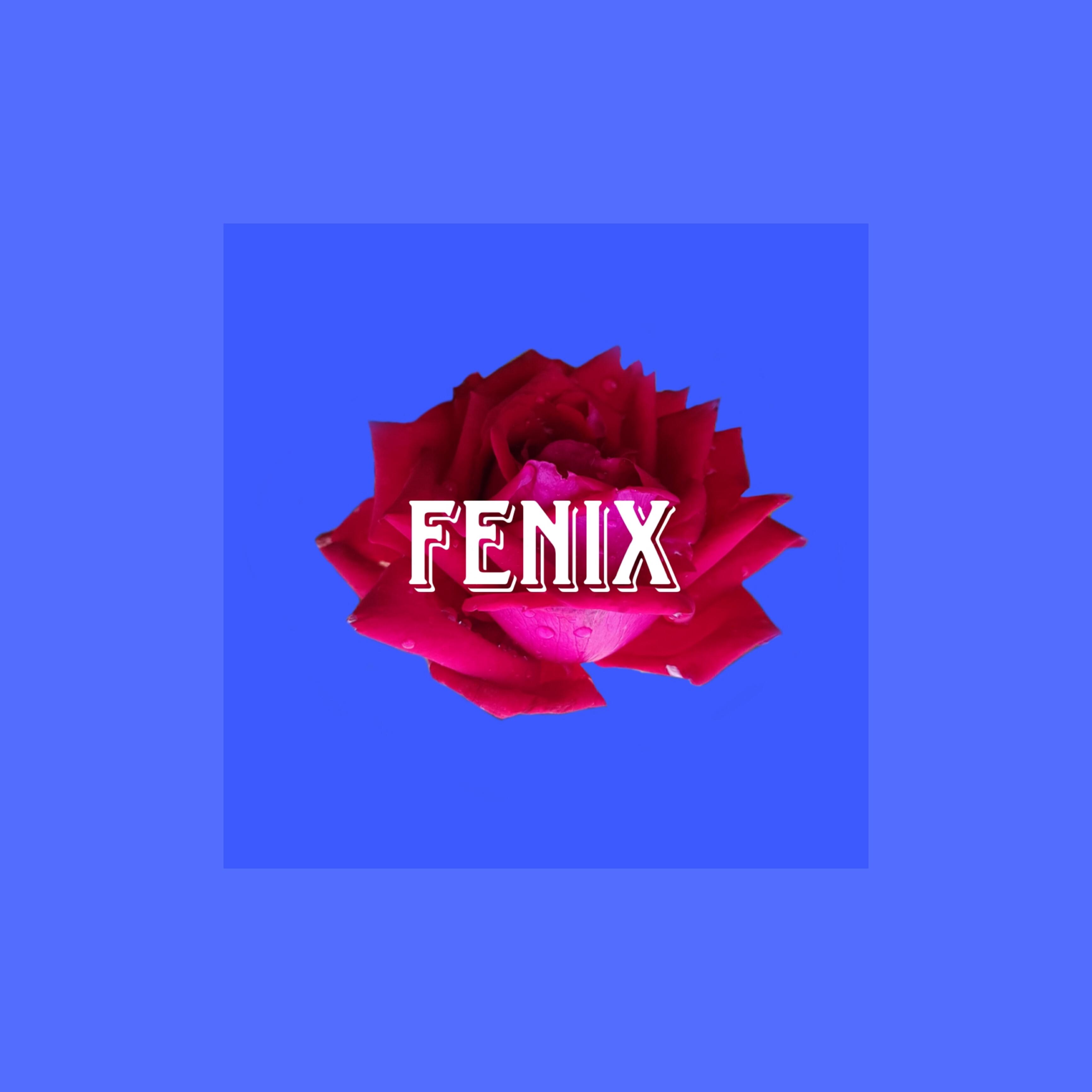 Релиз Fenix