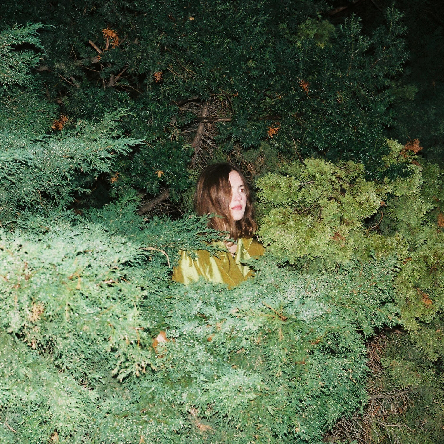 Релиз What I Never Told You