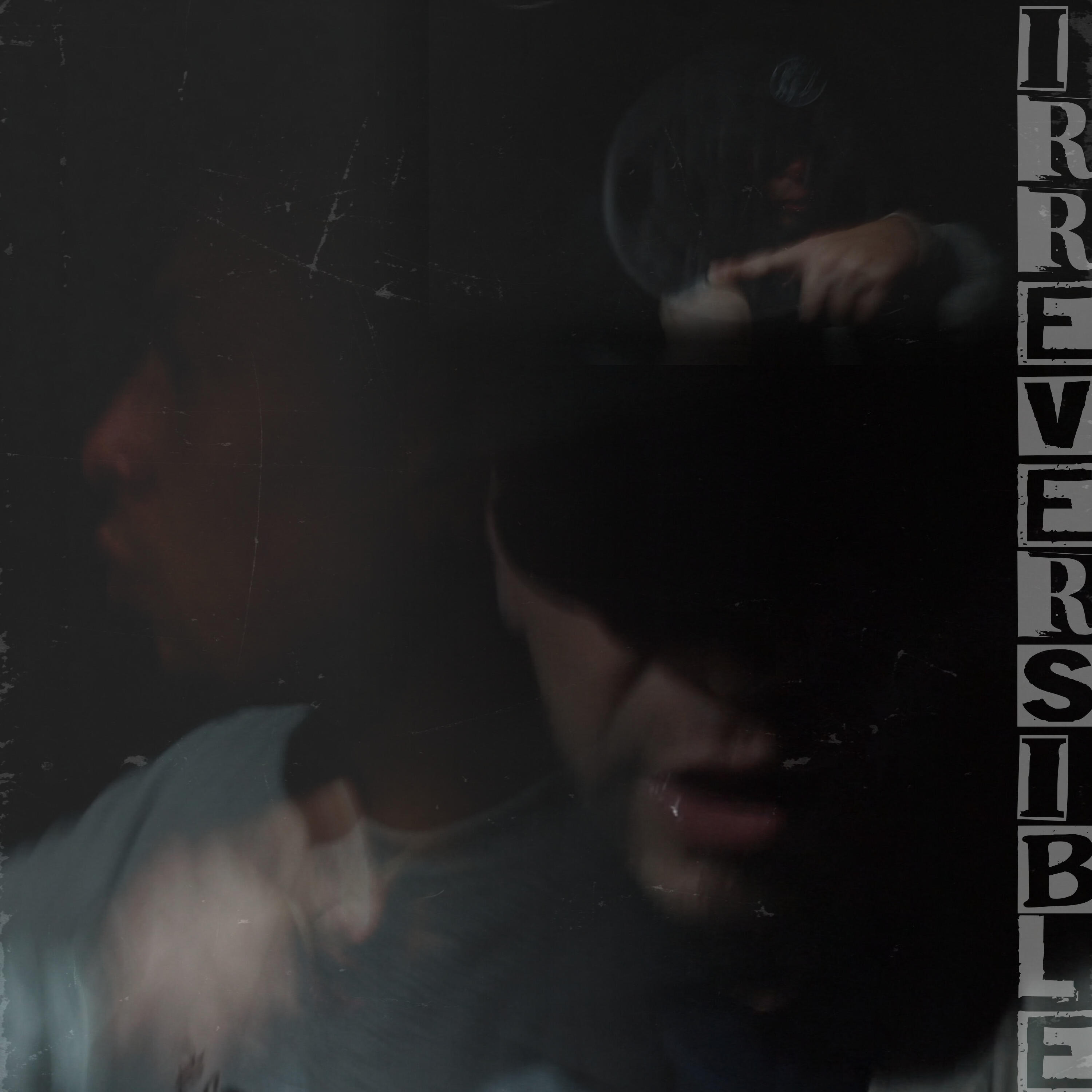 Релиз Irreversible