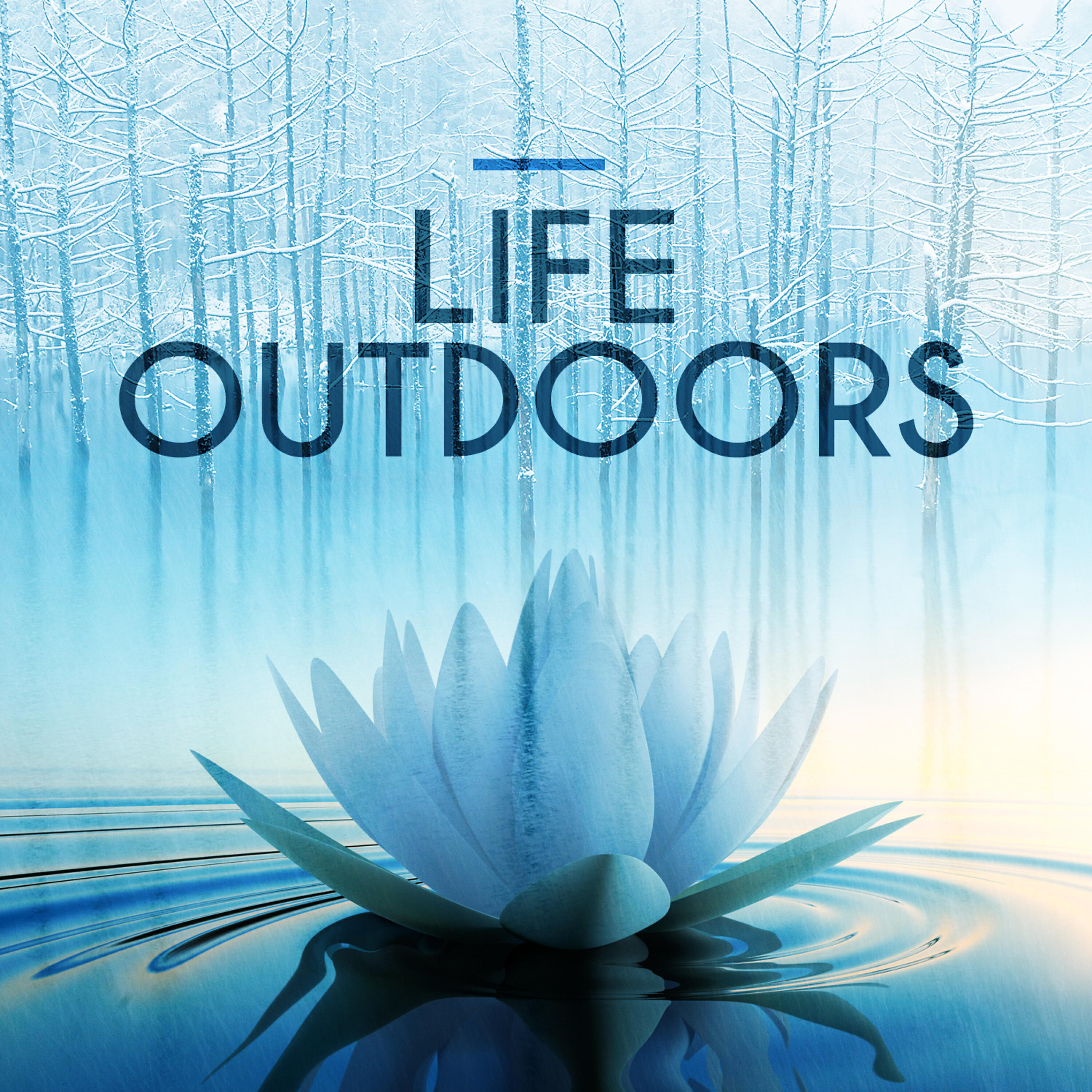 Релиз Life Outdoors