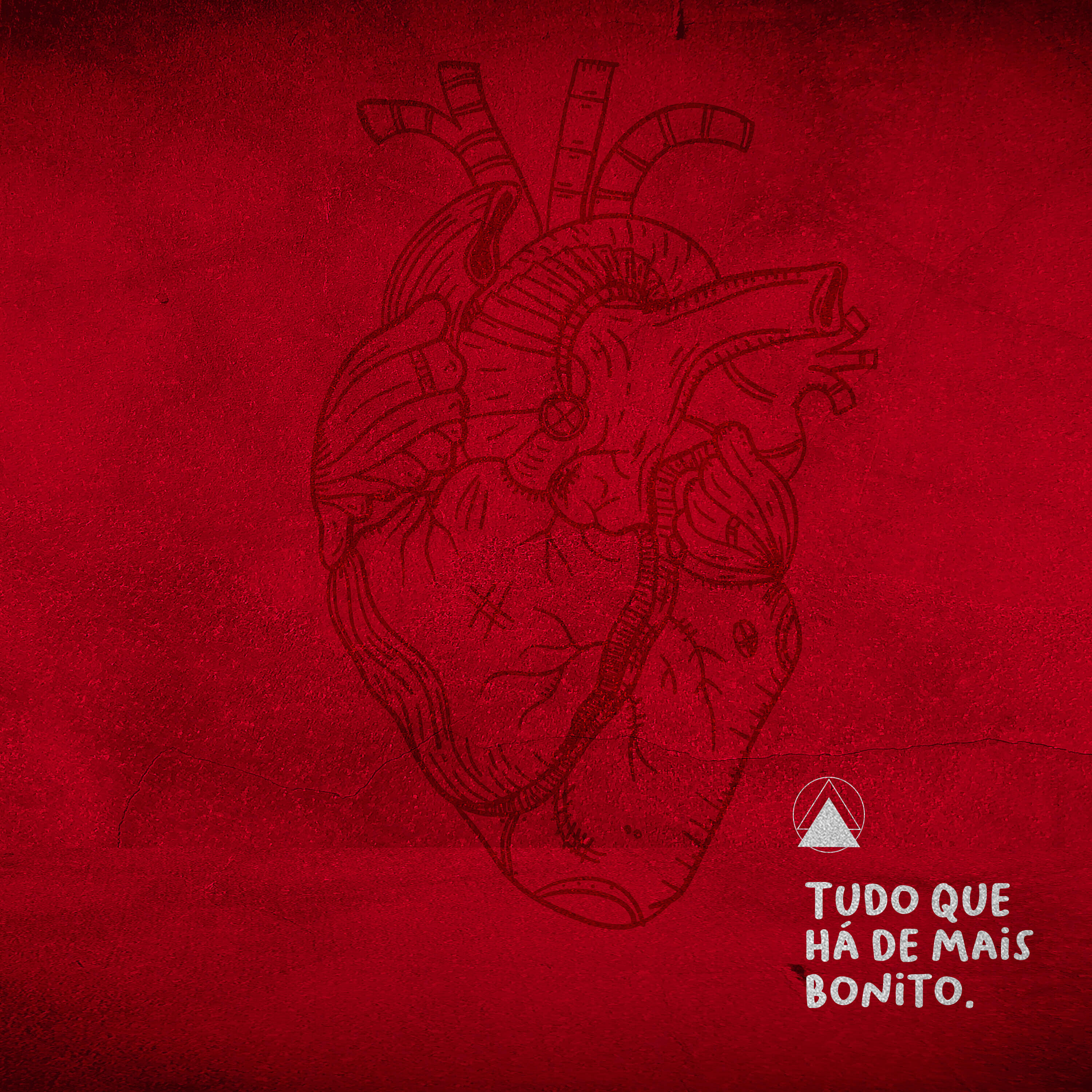 Релиз Tudo Que Há de Mais Bonito