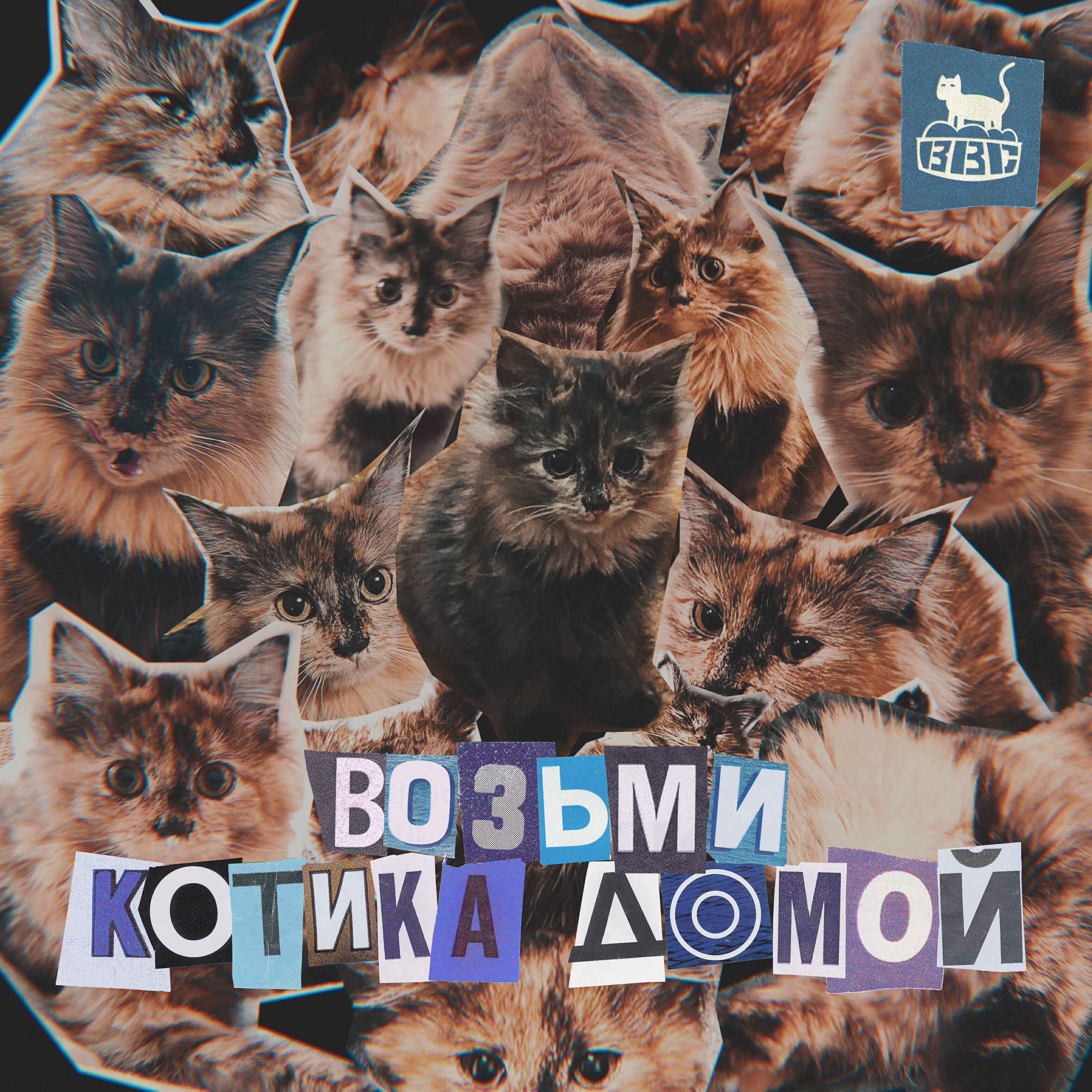 Релиз Возьми котика домой