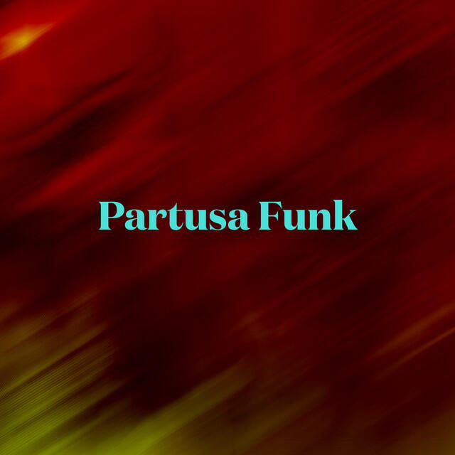 Постер альбома Partusa Funk