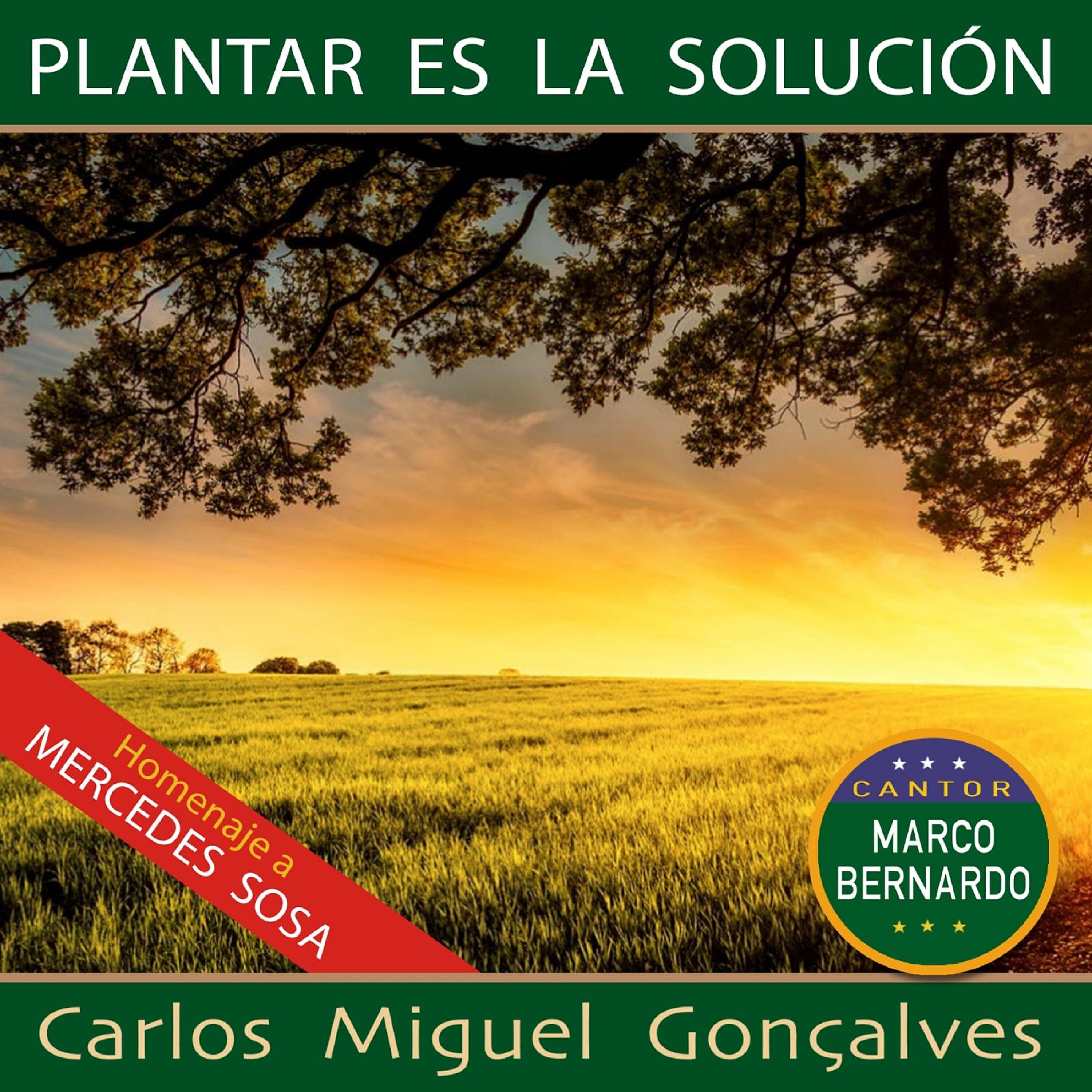 Релиз Plantar Es la Solución