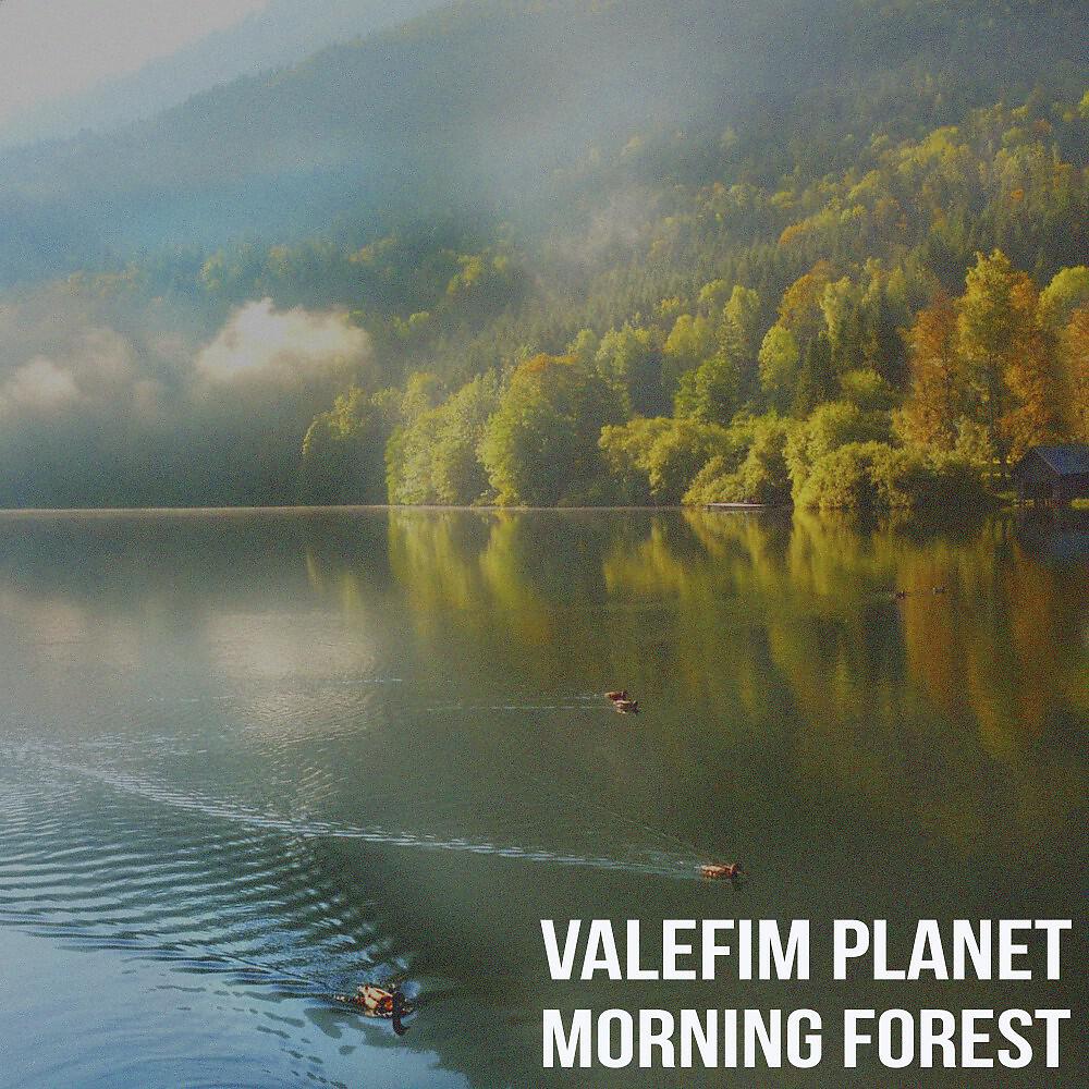 Релиз Morning Forest