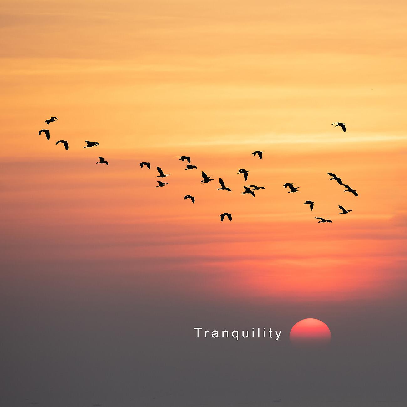 Relaxation Meditation Songs