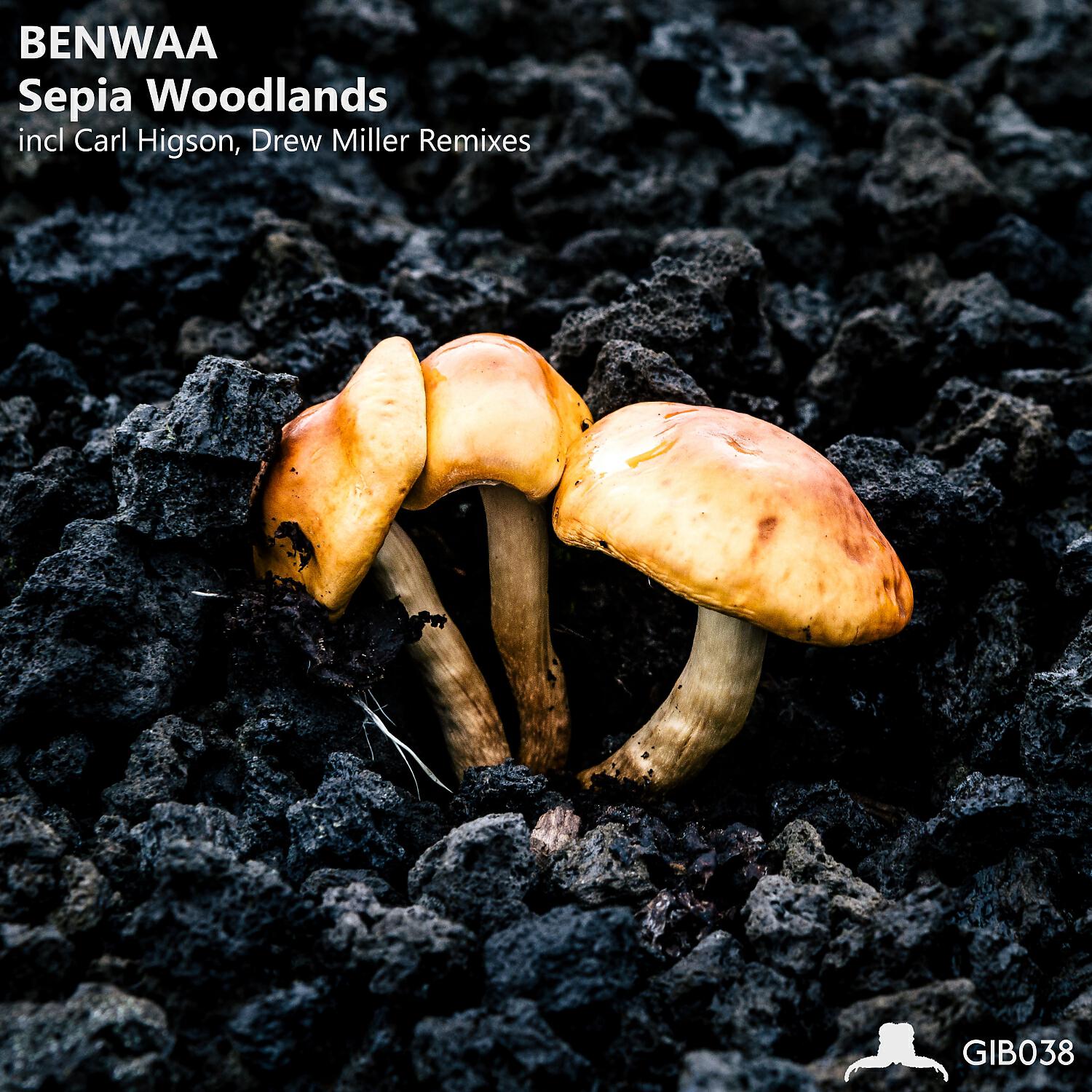 Релиз Sepia Woodlands