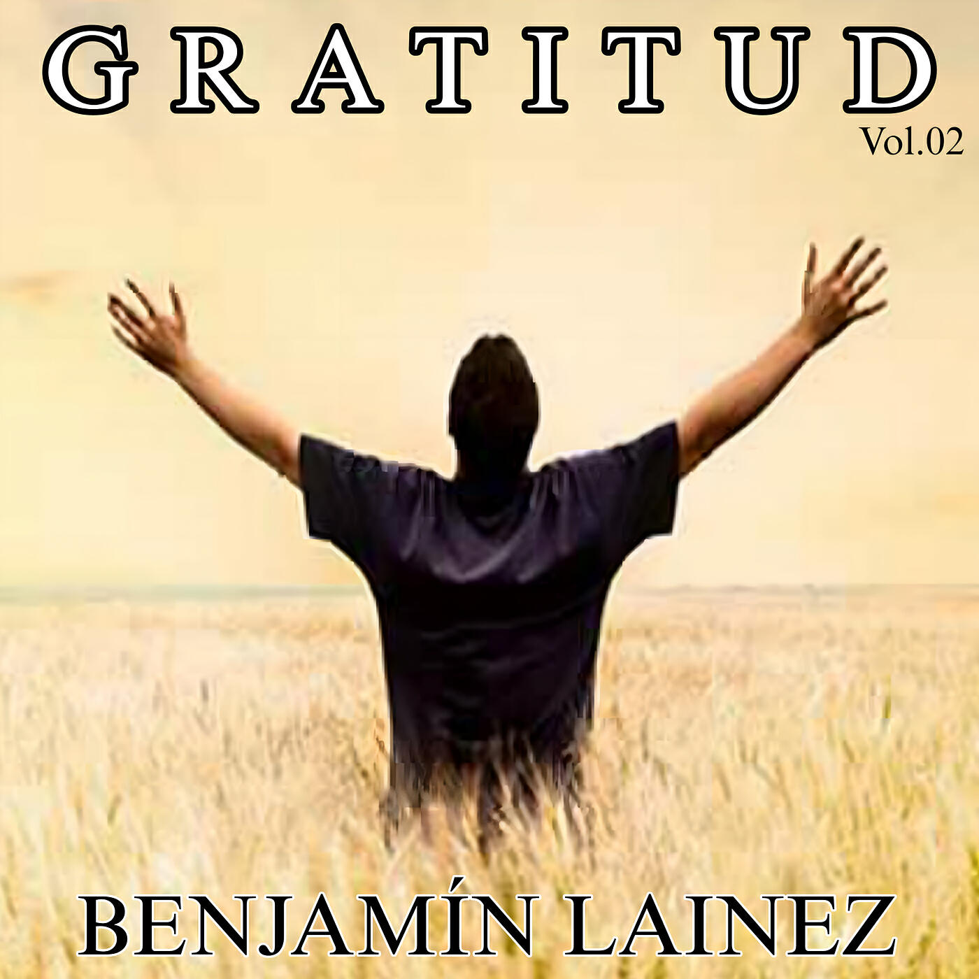 Постер альбома Gratitud, Vol. 2