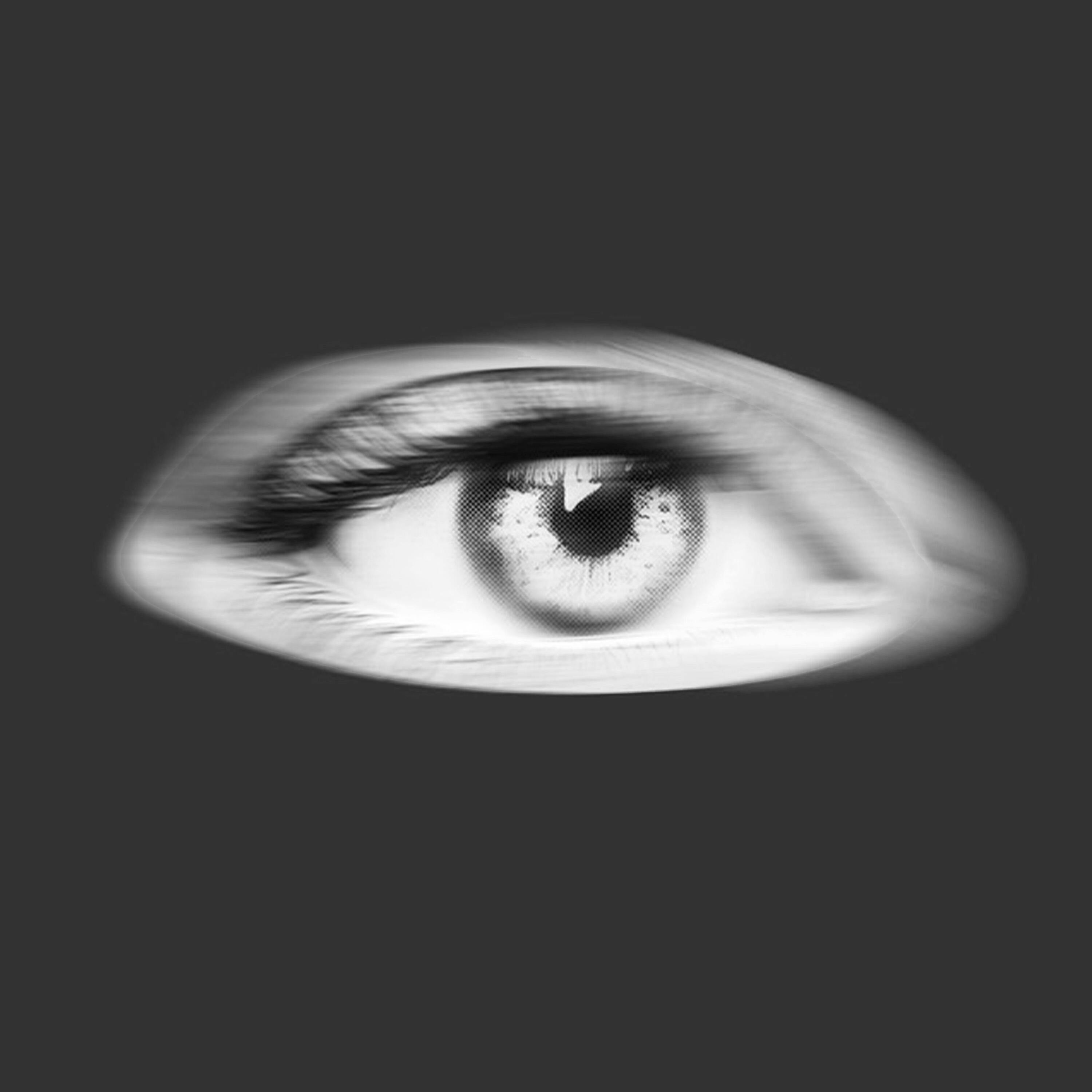 foreveryaho