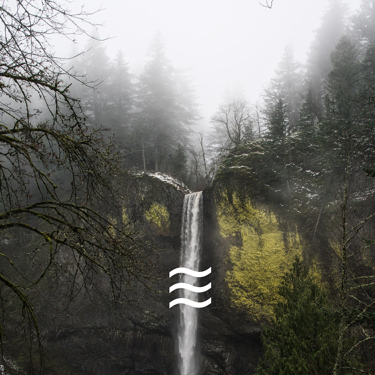 Релиз Спокойные шорохи спокойного дождя