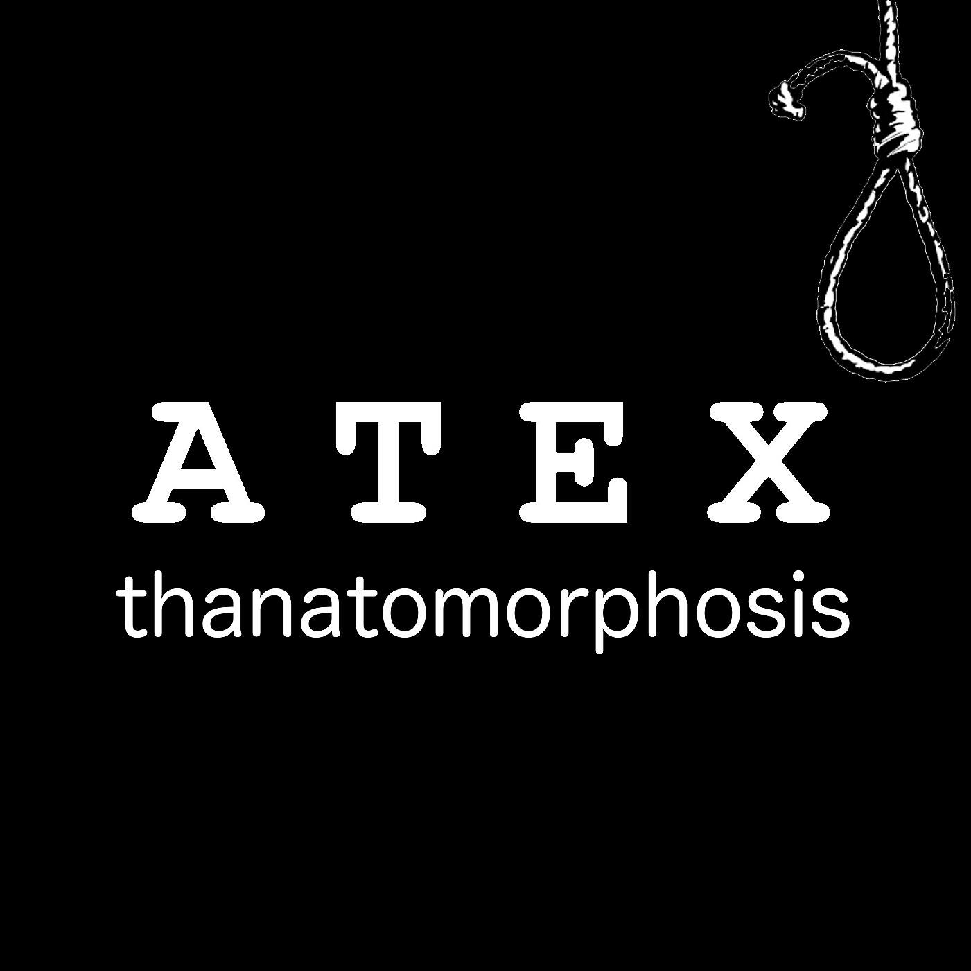 Постер альбома Thanatomorphosis