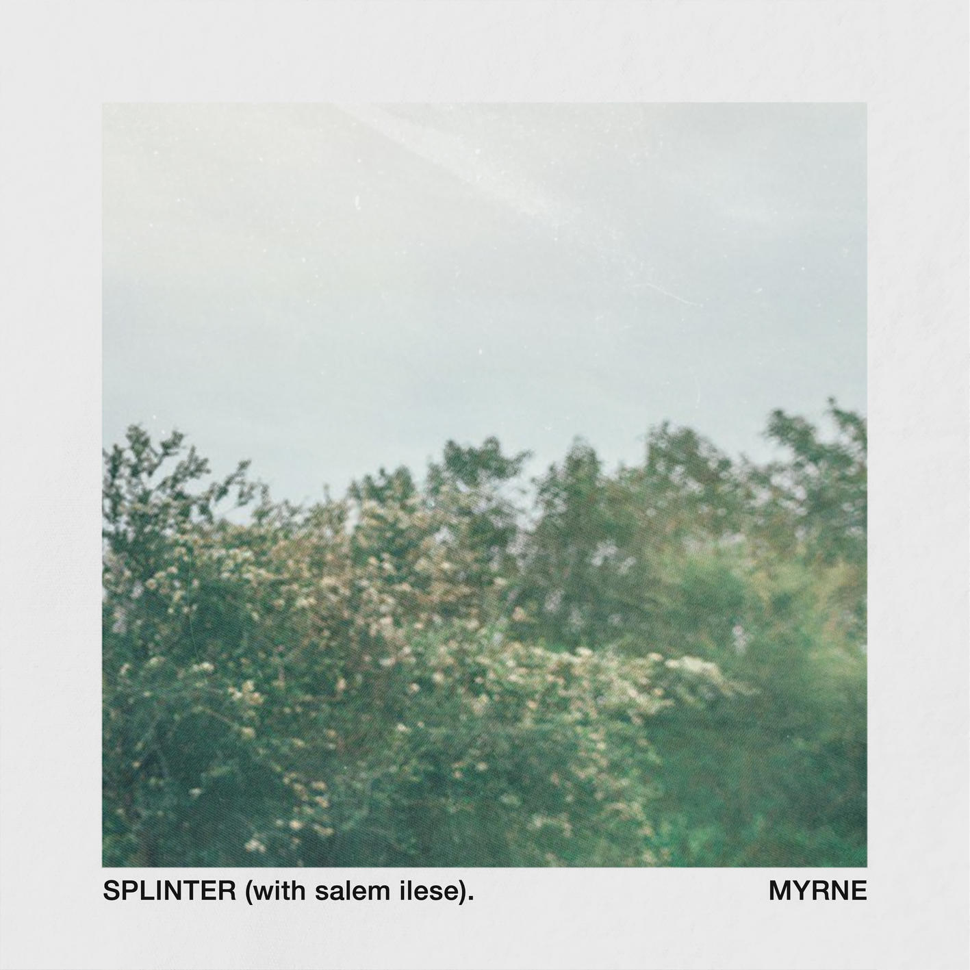 Релиз Splinter (with salem ilese)