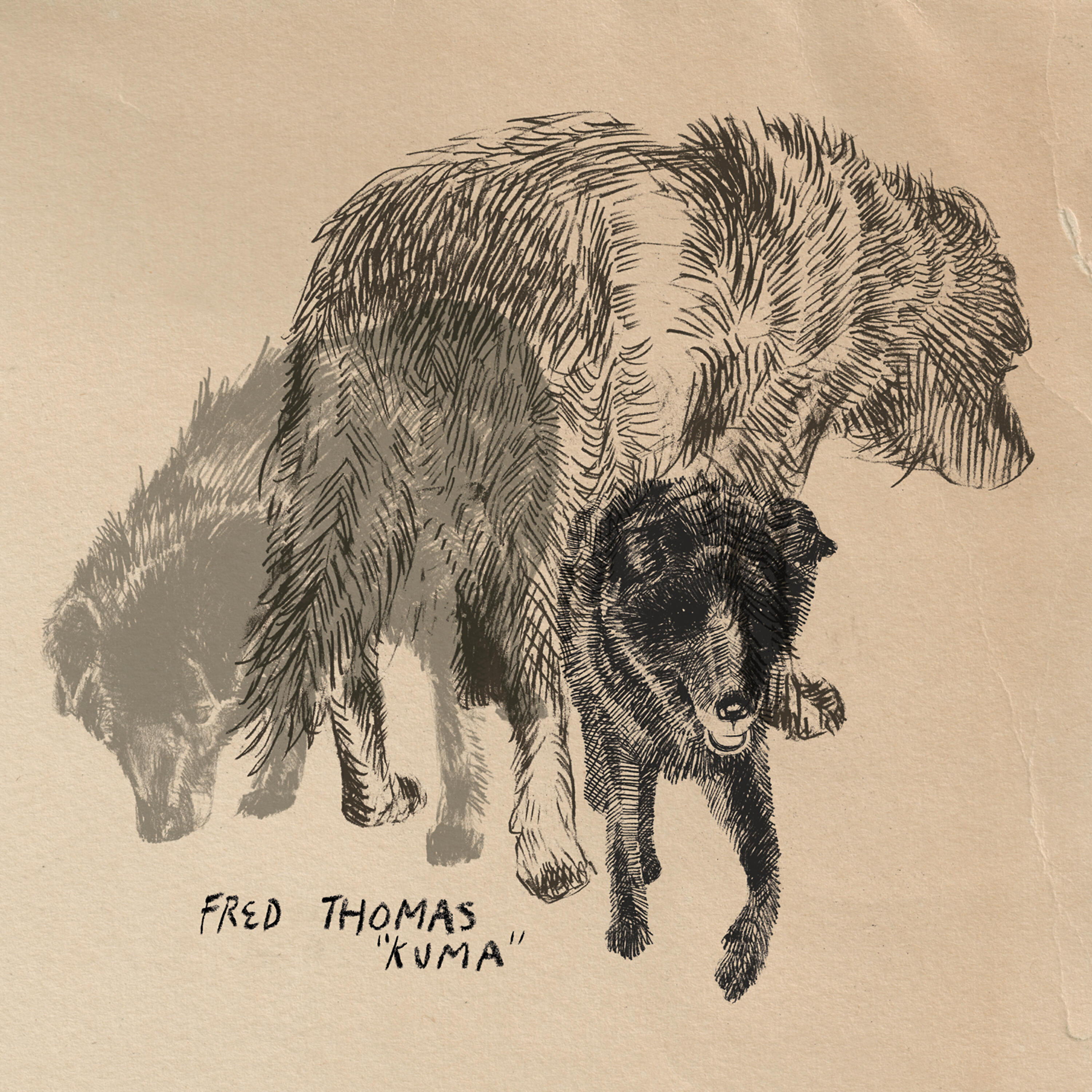 Релиз Kuma