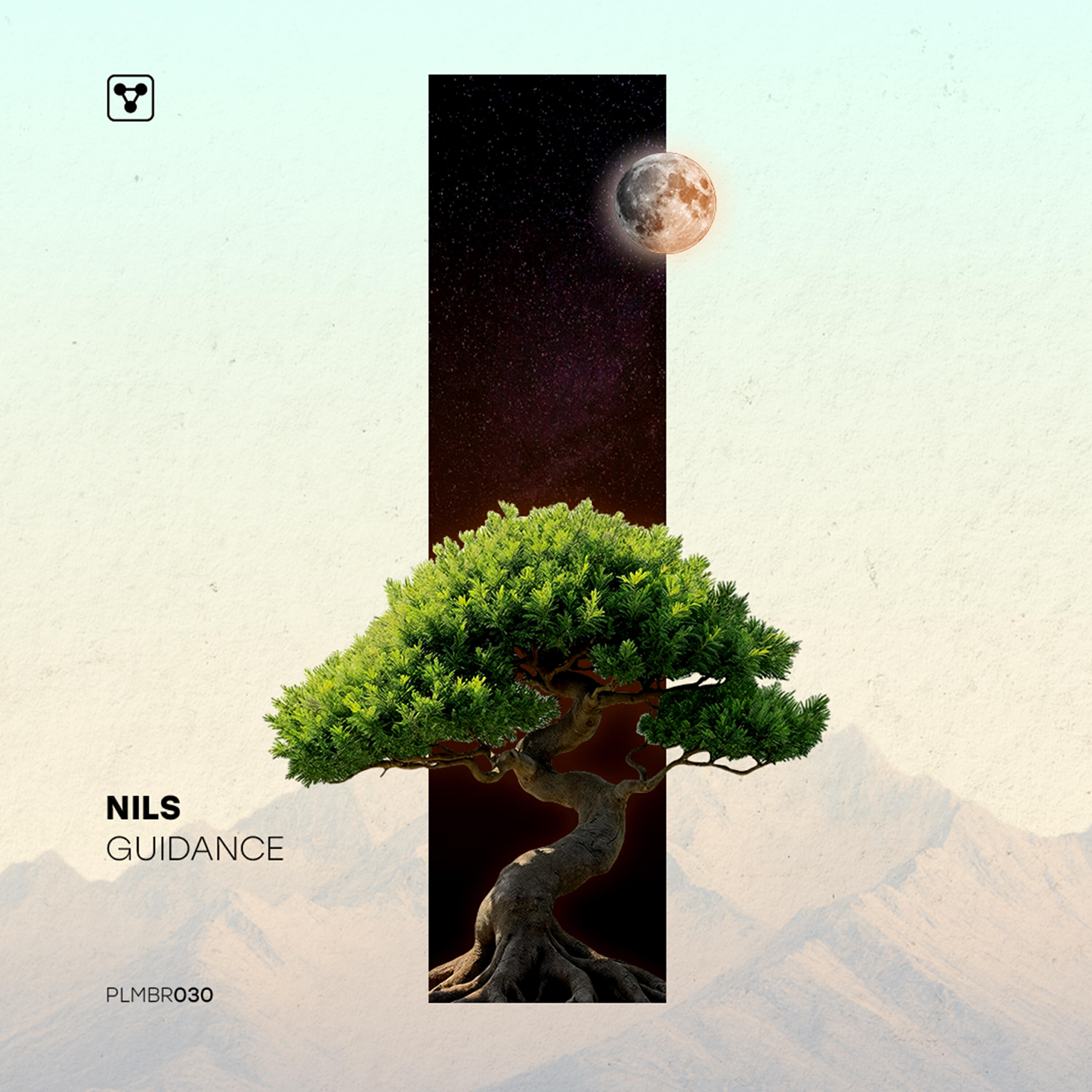 Релиз Guidance