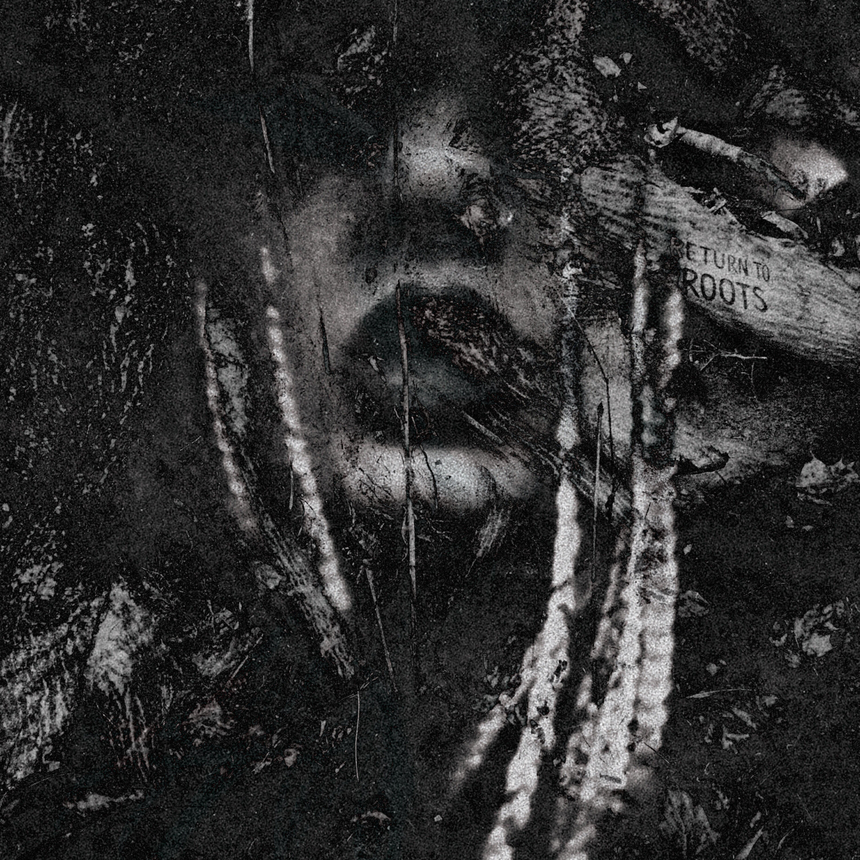 Релиз Return to Roots
