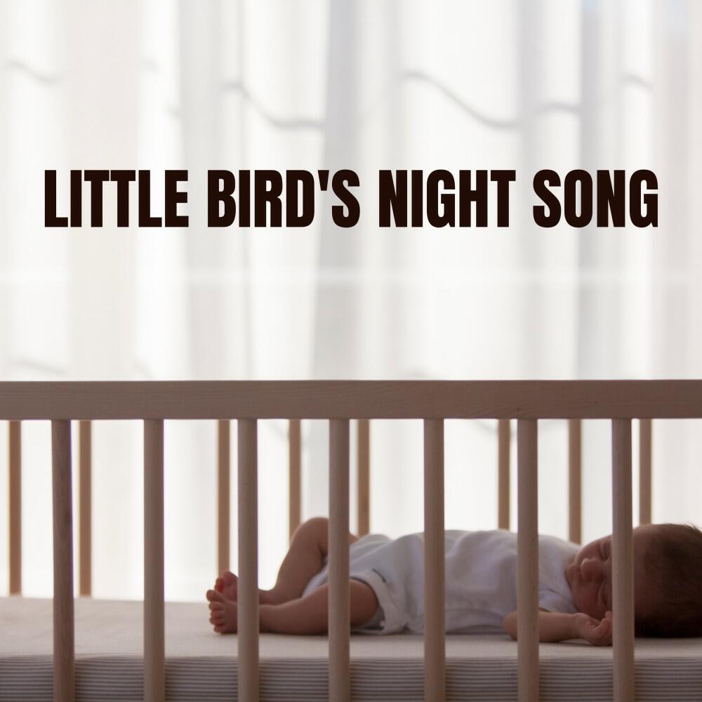 Релиз Little Bird's Night Song