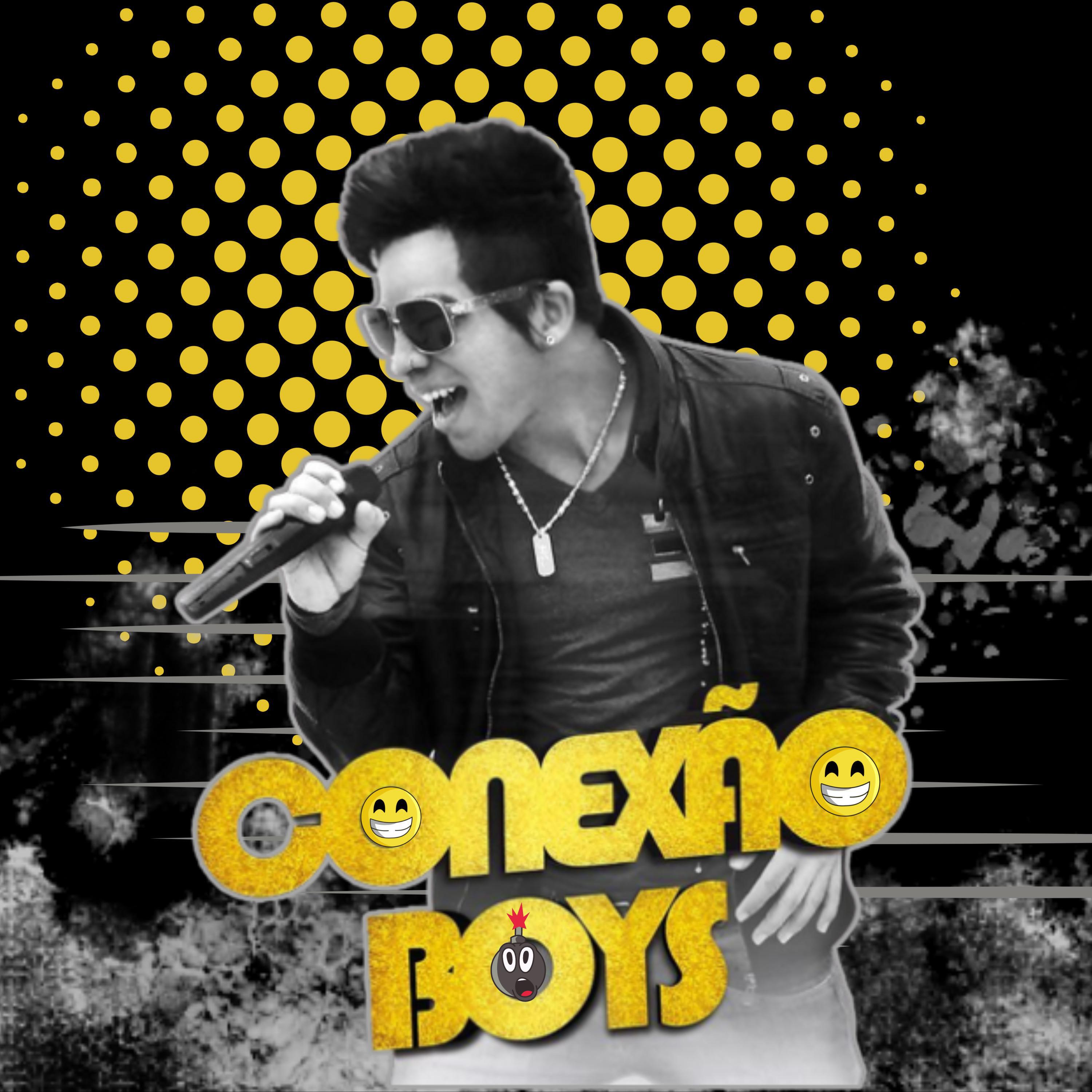 Релиз Conexão Boys