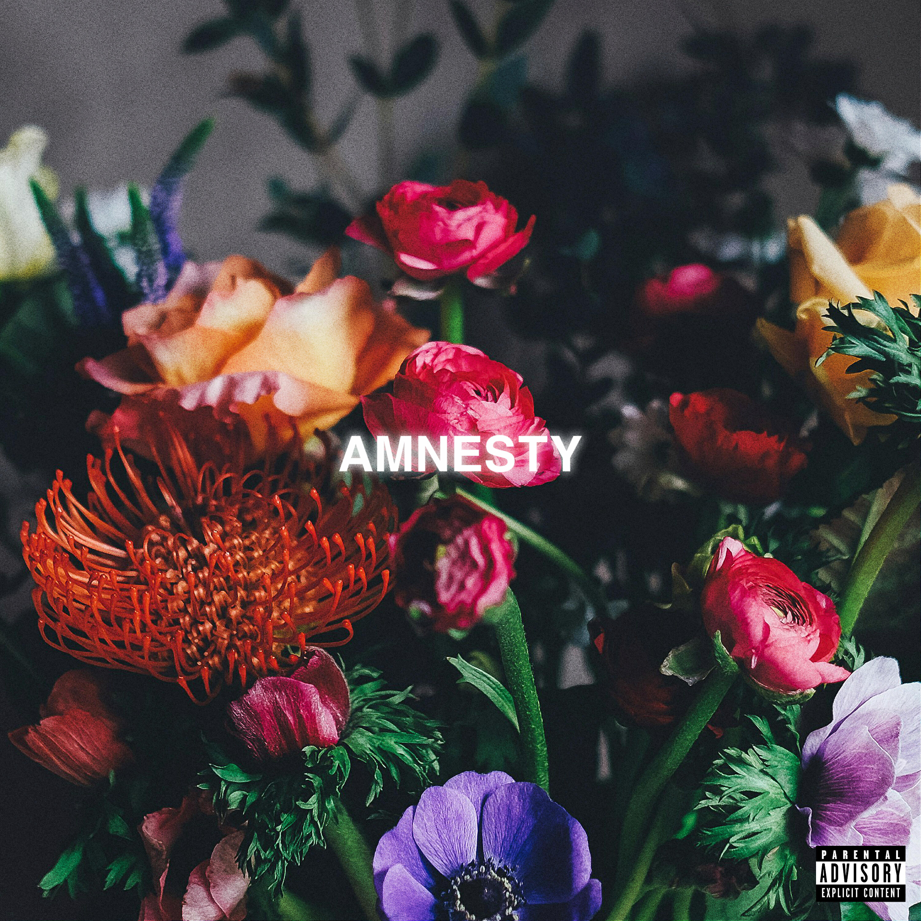 Релиз Amnesty