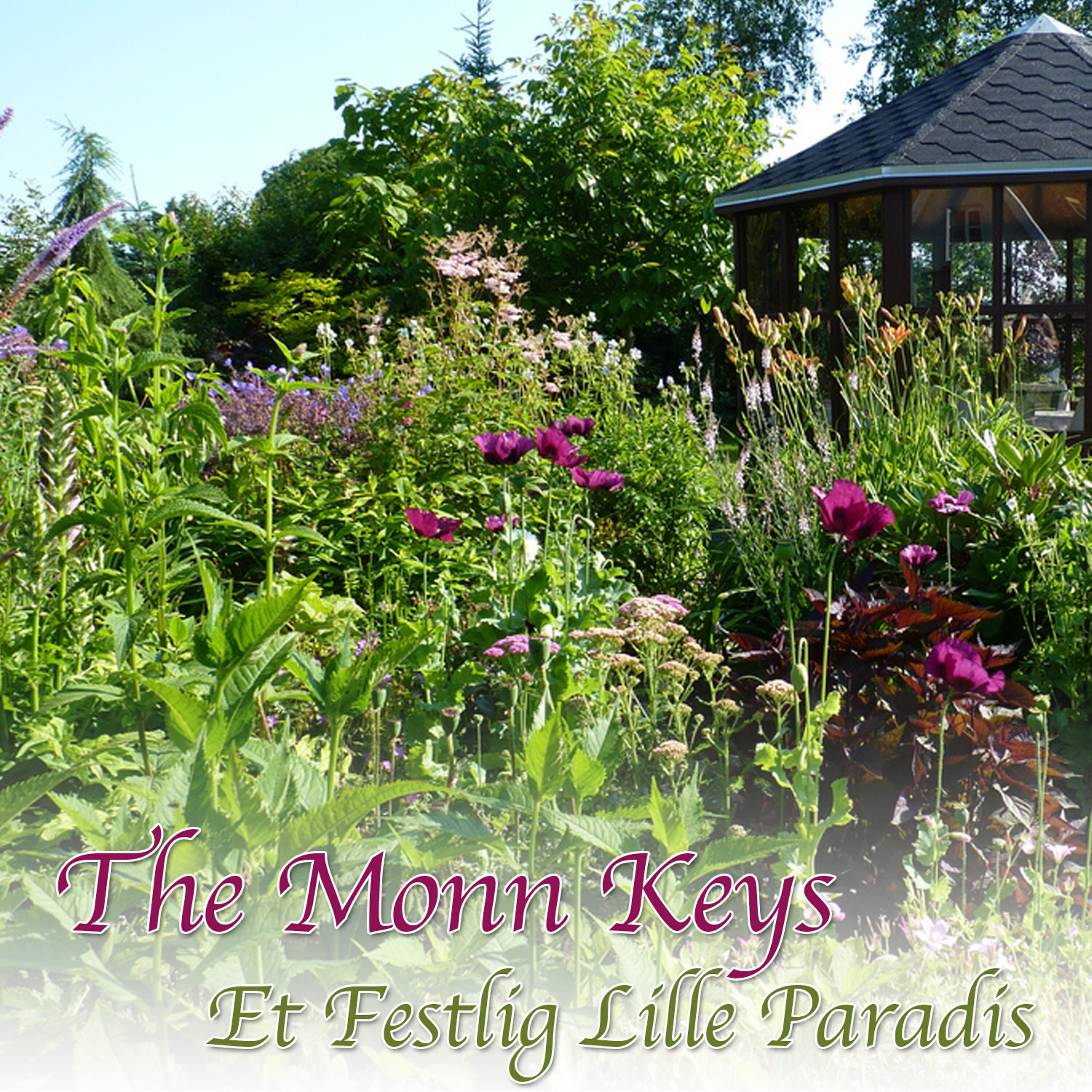 Релиз Et Festlig Lille Paradis