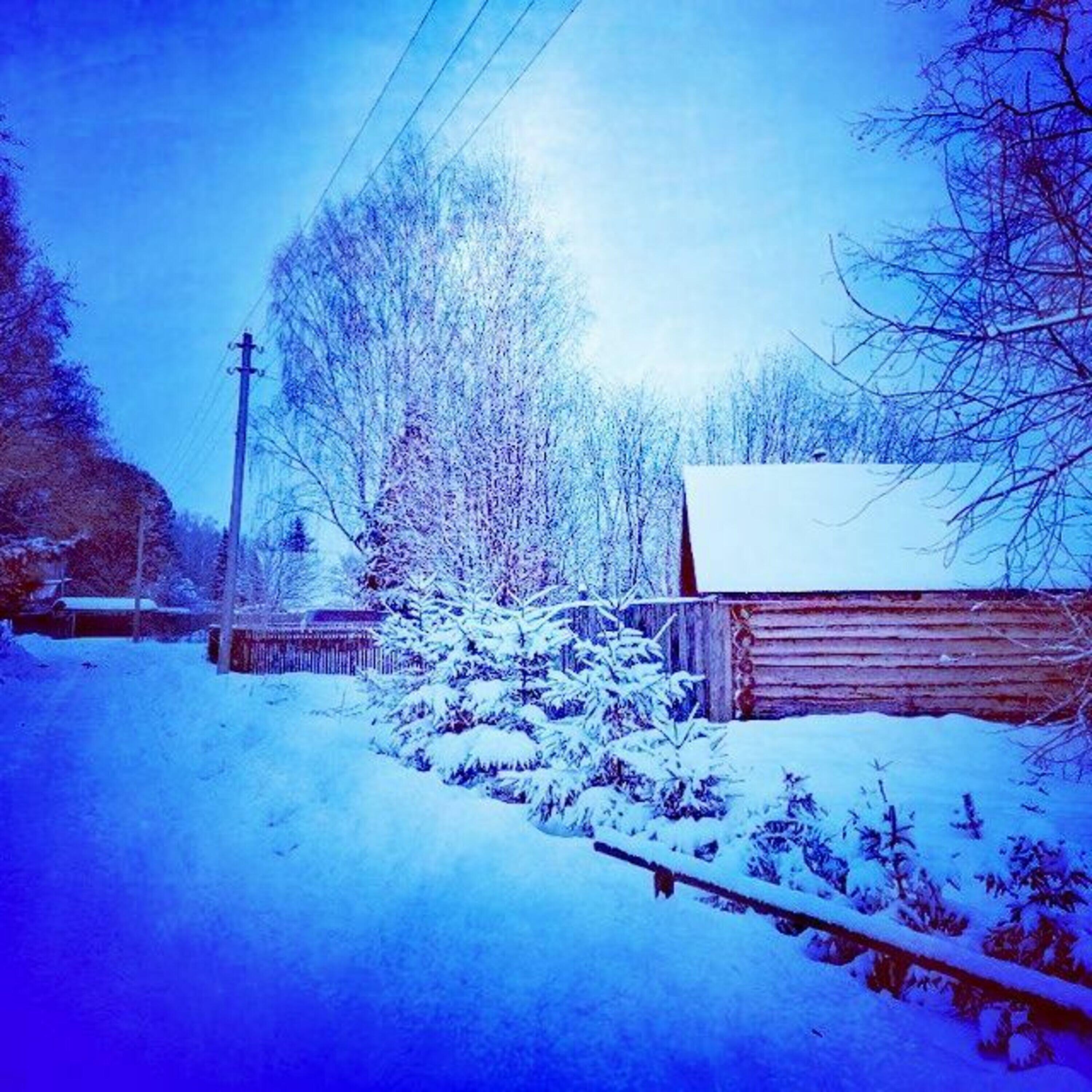 Релиз Одна ночь в зимнем саду