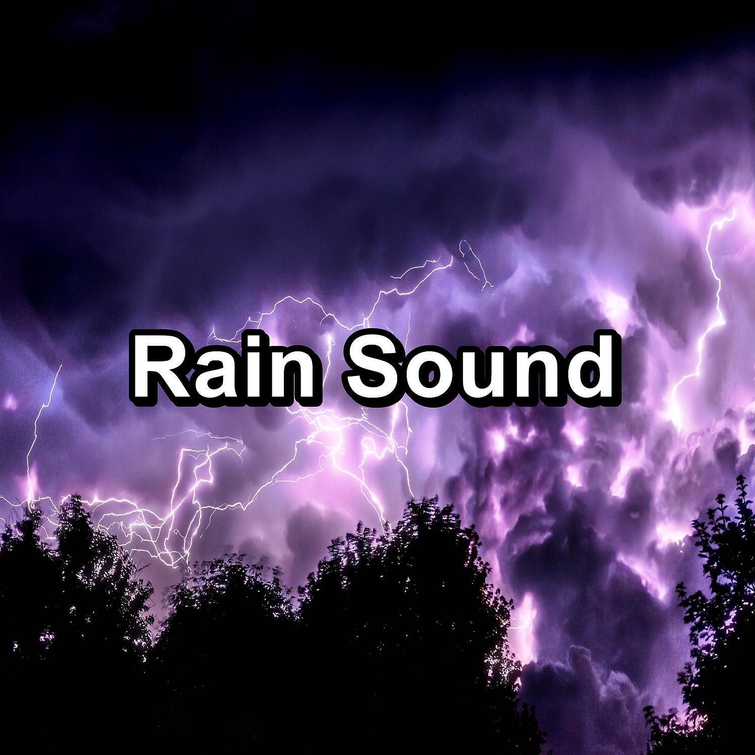 Релиз Rain Sound