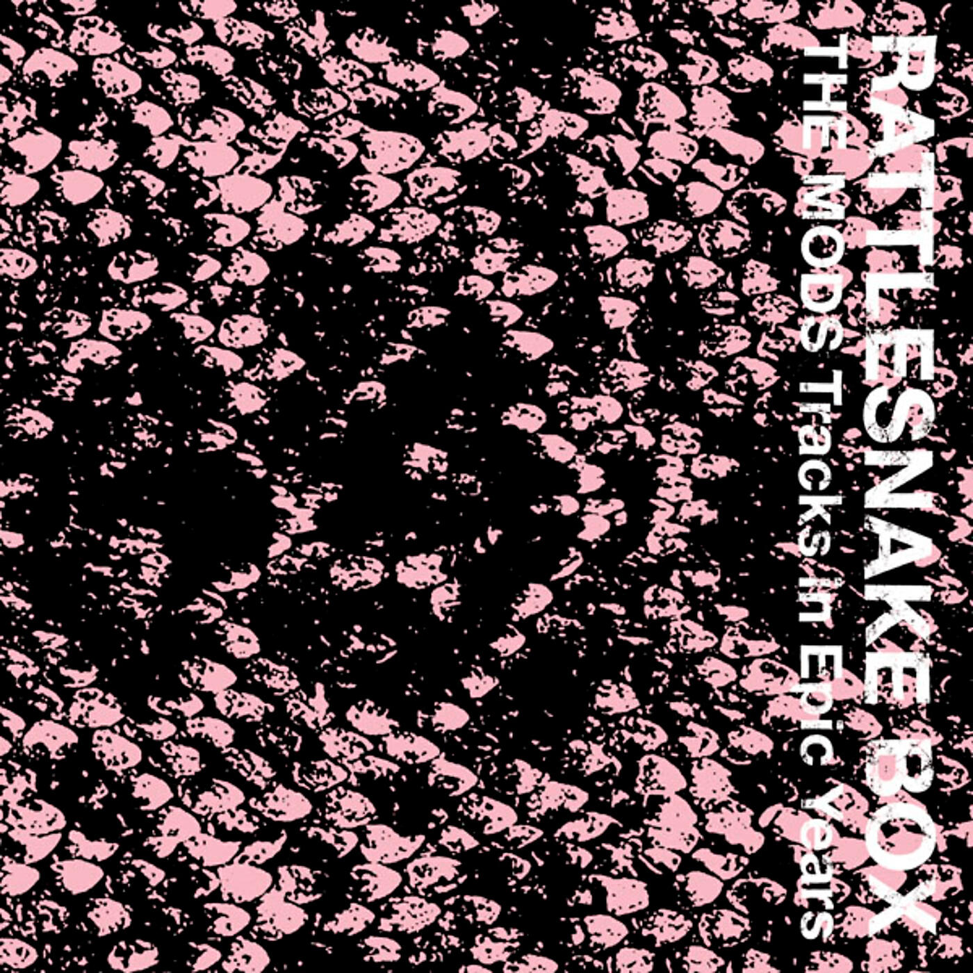 Релиз RATTLESNAKE BOX The MODS Tracks in Epic Years