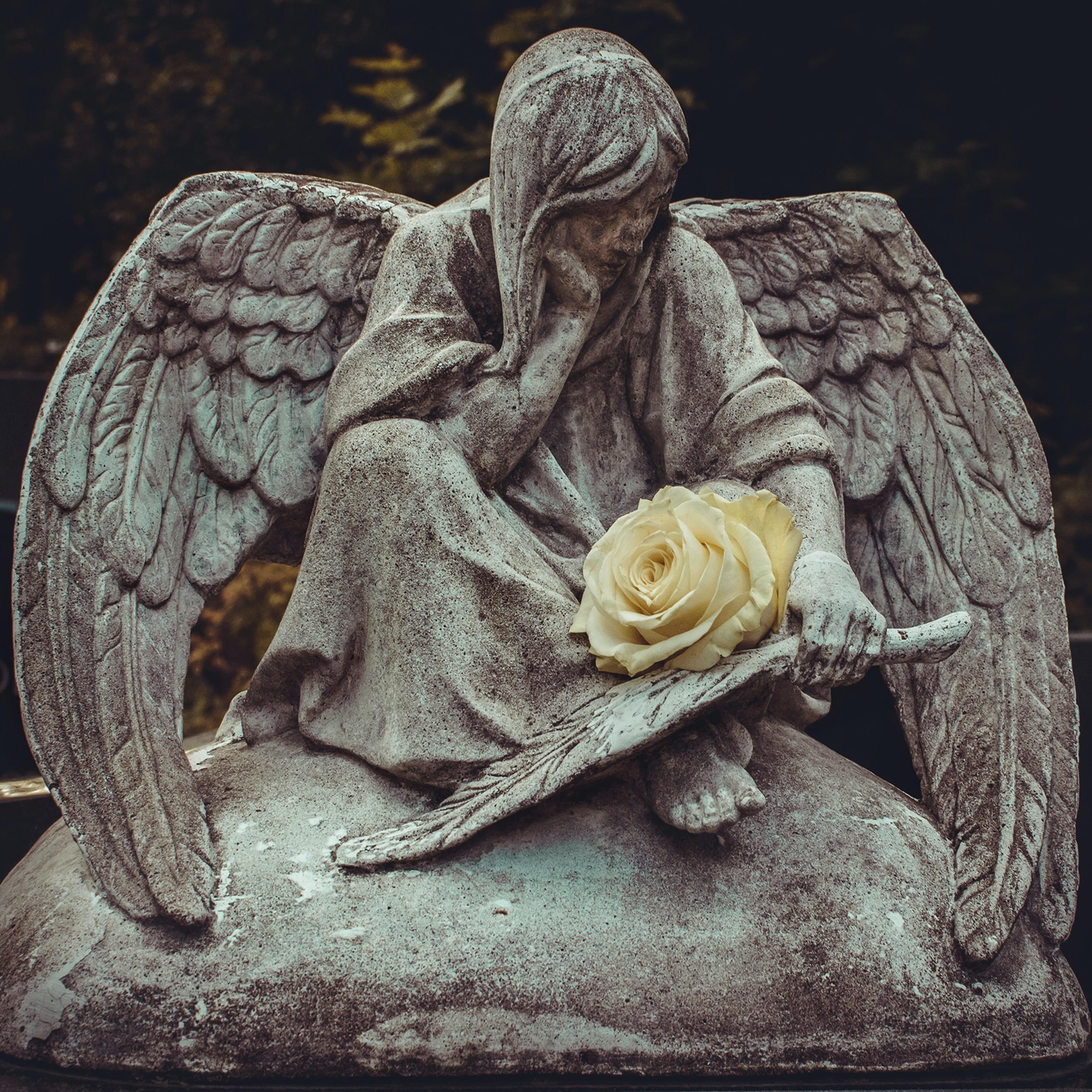 Релиз Angel