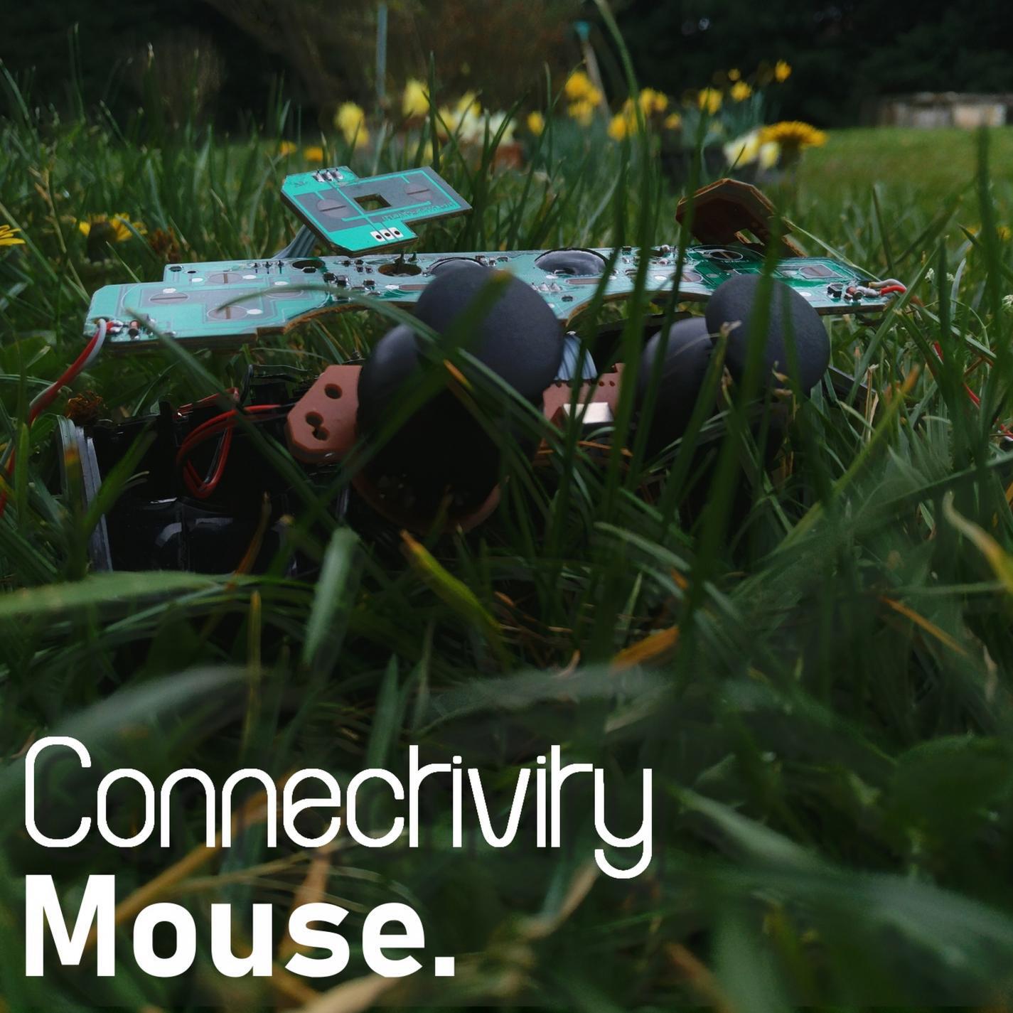 Mouse's Mistake