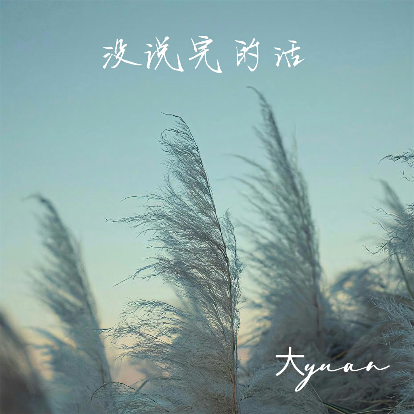 Релиз 没说完的话