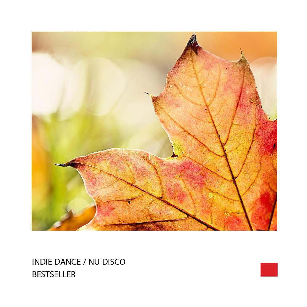 Постер альбома Indie Dance, Nu Disco - Best of Collection (Top 5 Bestseller September 2015) Vol. 1