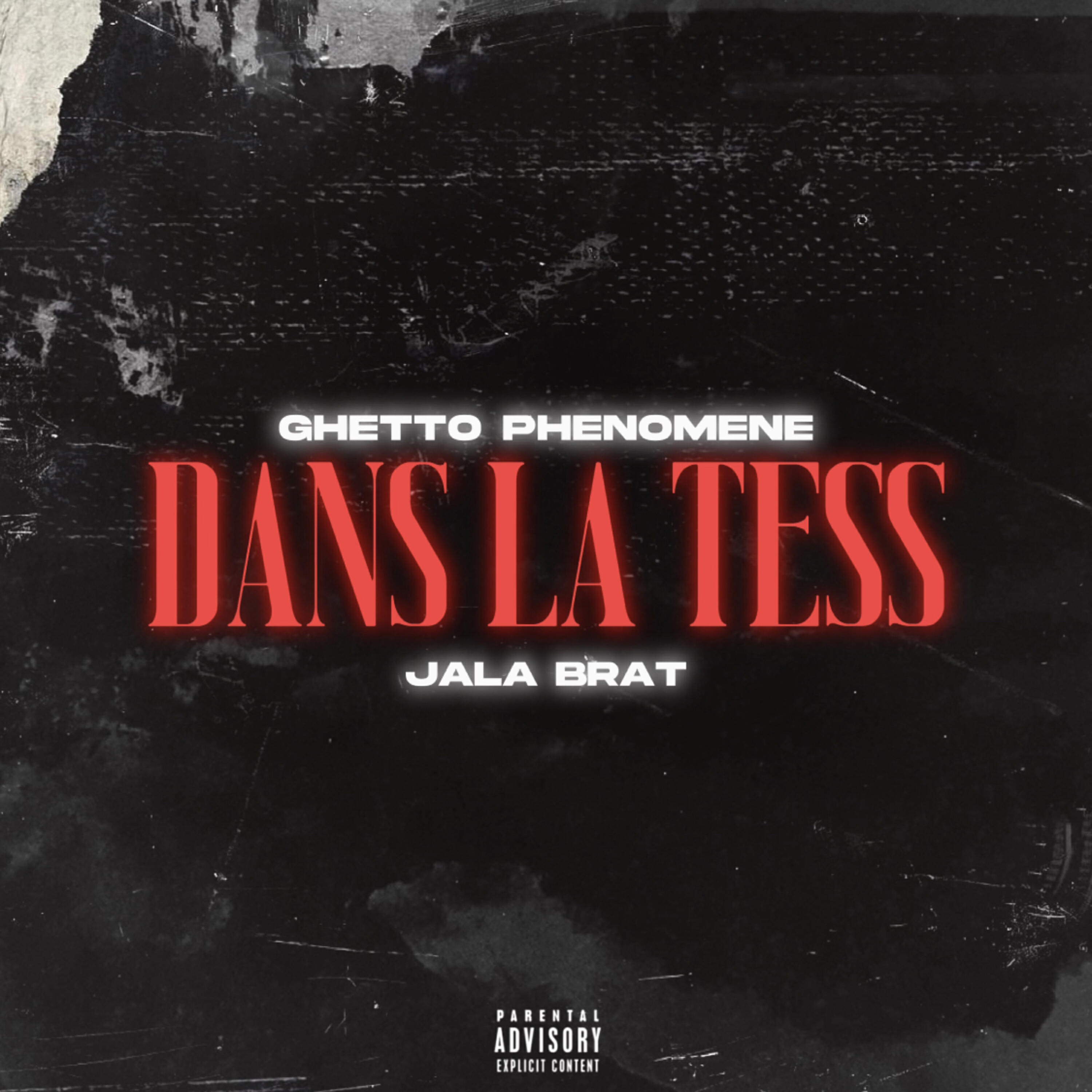 Релиз Dans la tess