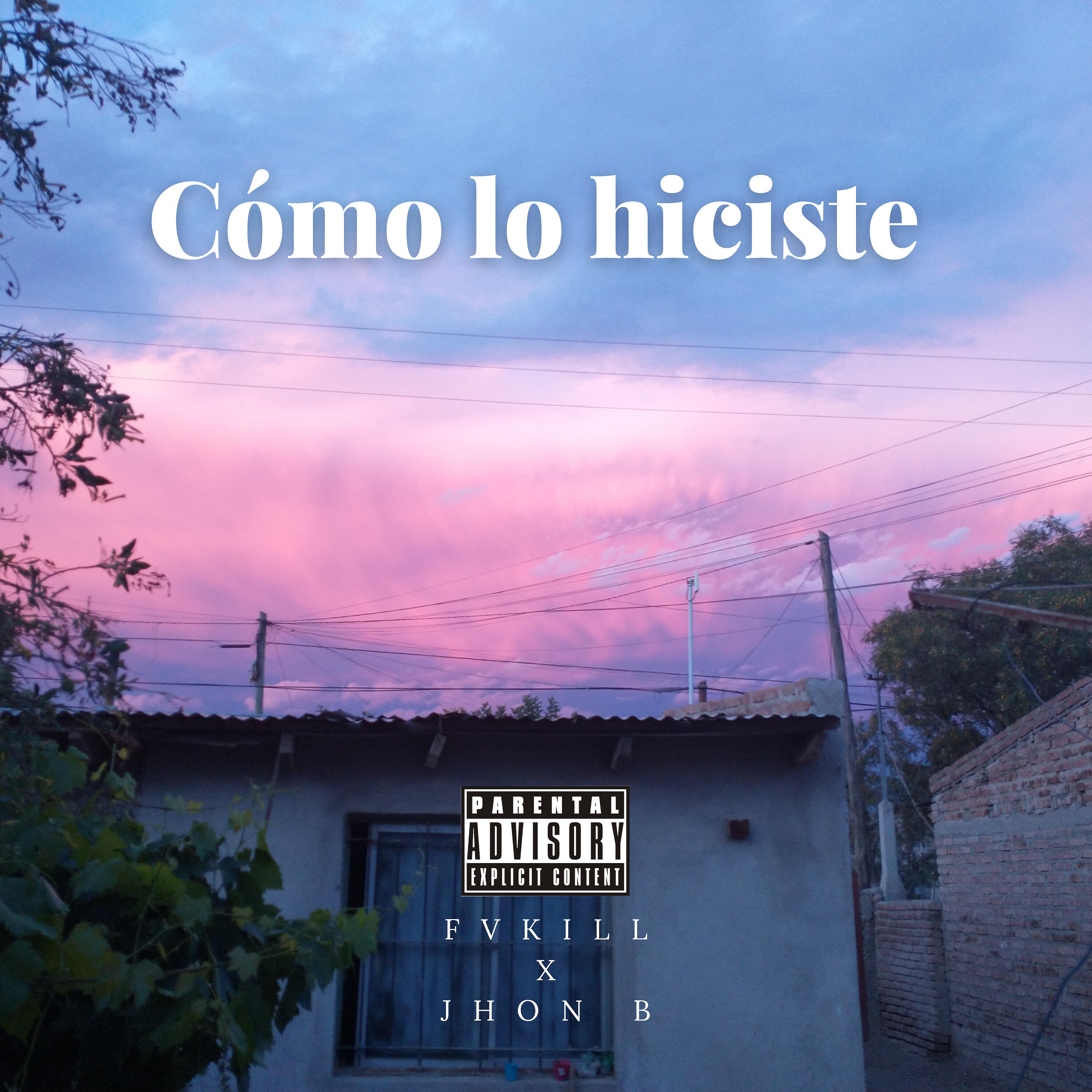 Постер альбома Cómo Lo Hiciste